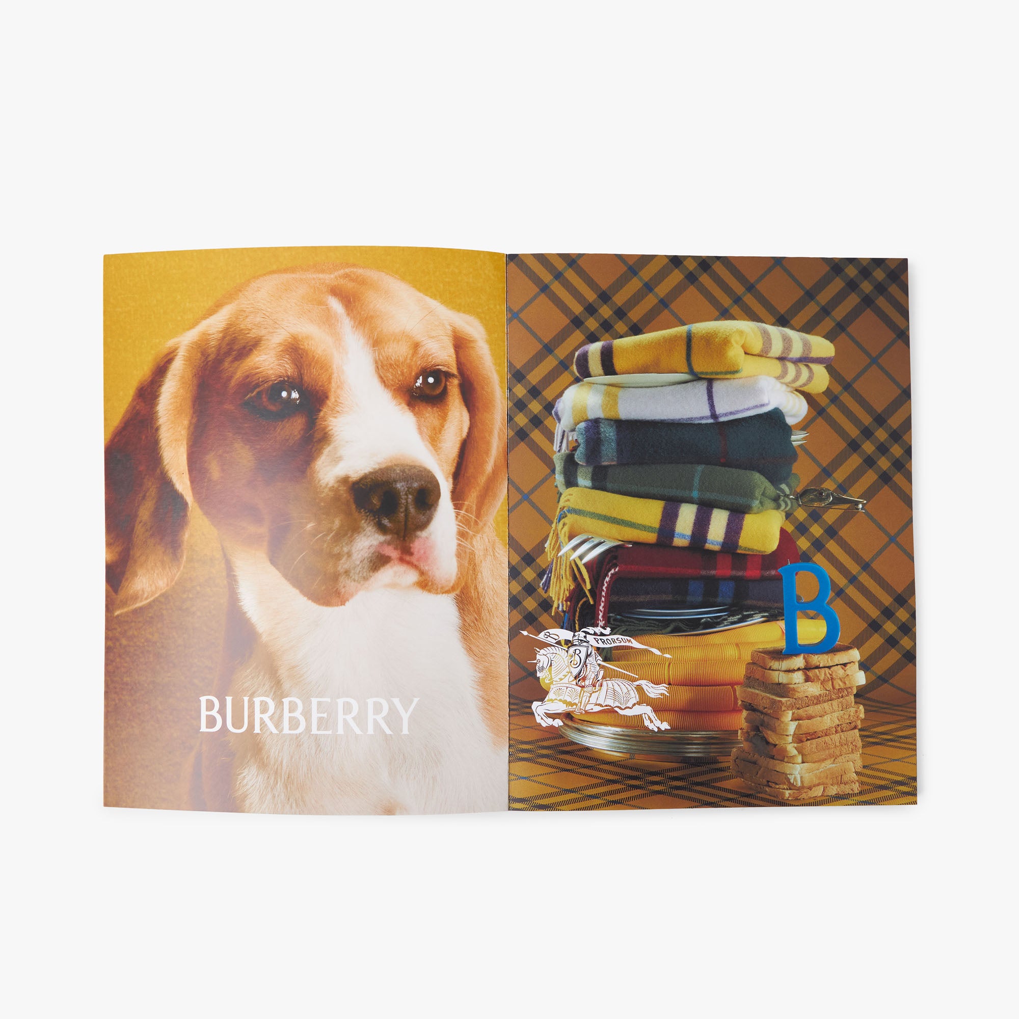  Bully Magazine Issue Two / Two Beam Cover、mySite、merchandisen