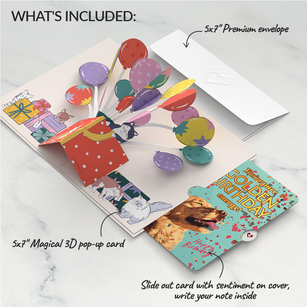 Curious Cats Birthday Pop-Up Card and Golden Energy Sentiment Set、mySite、solidvoid