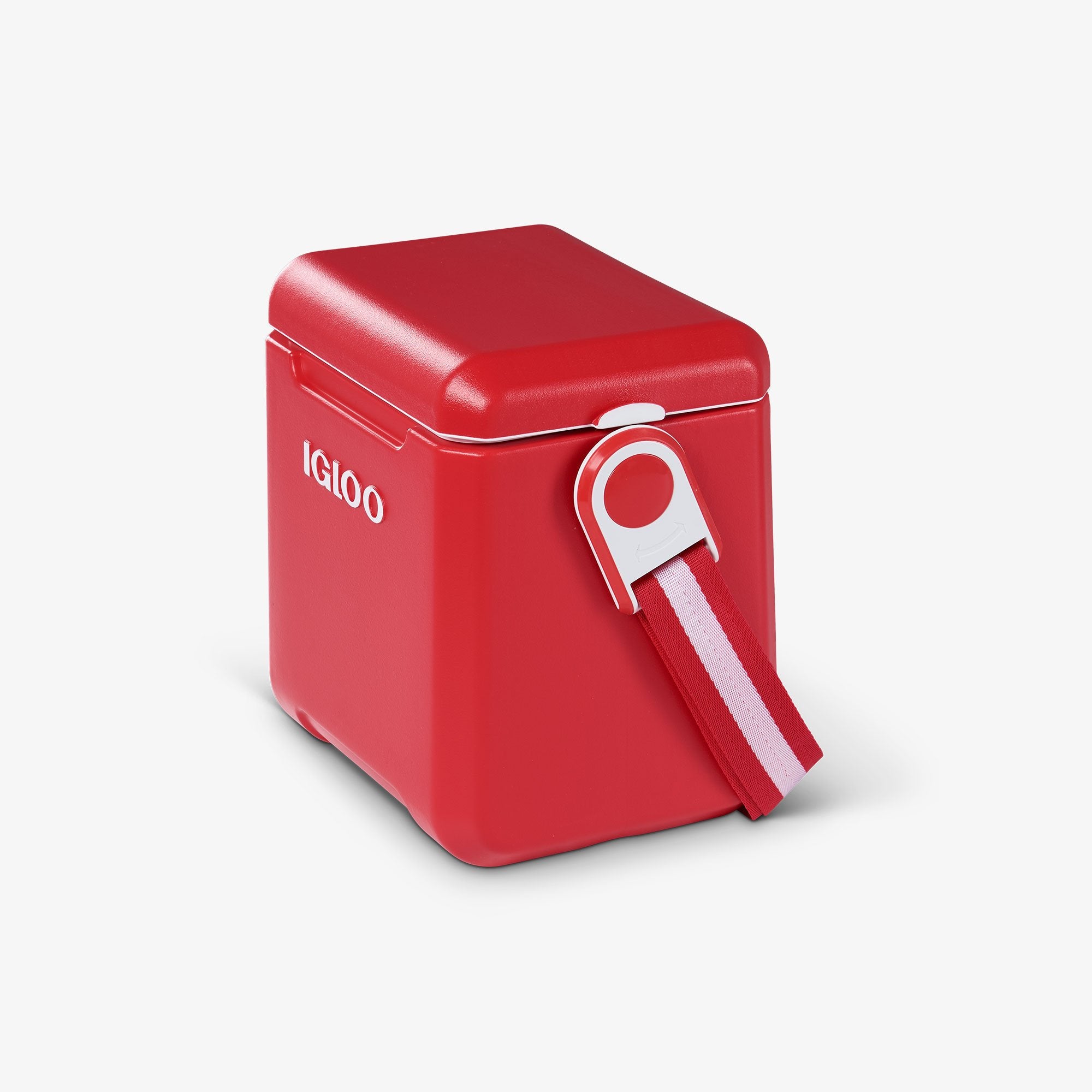 Tag Along Too Cooler、mySite、noshort