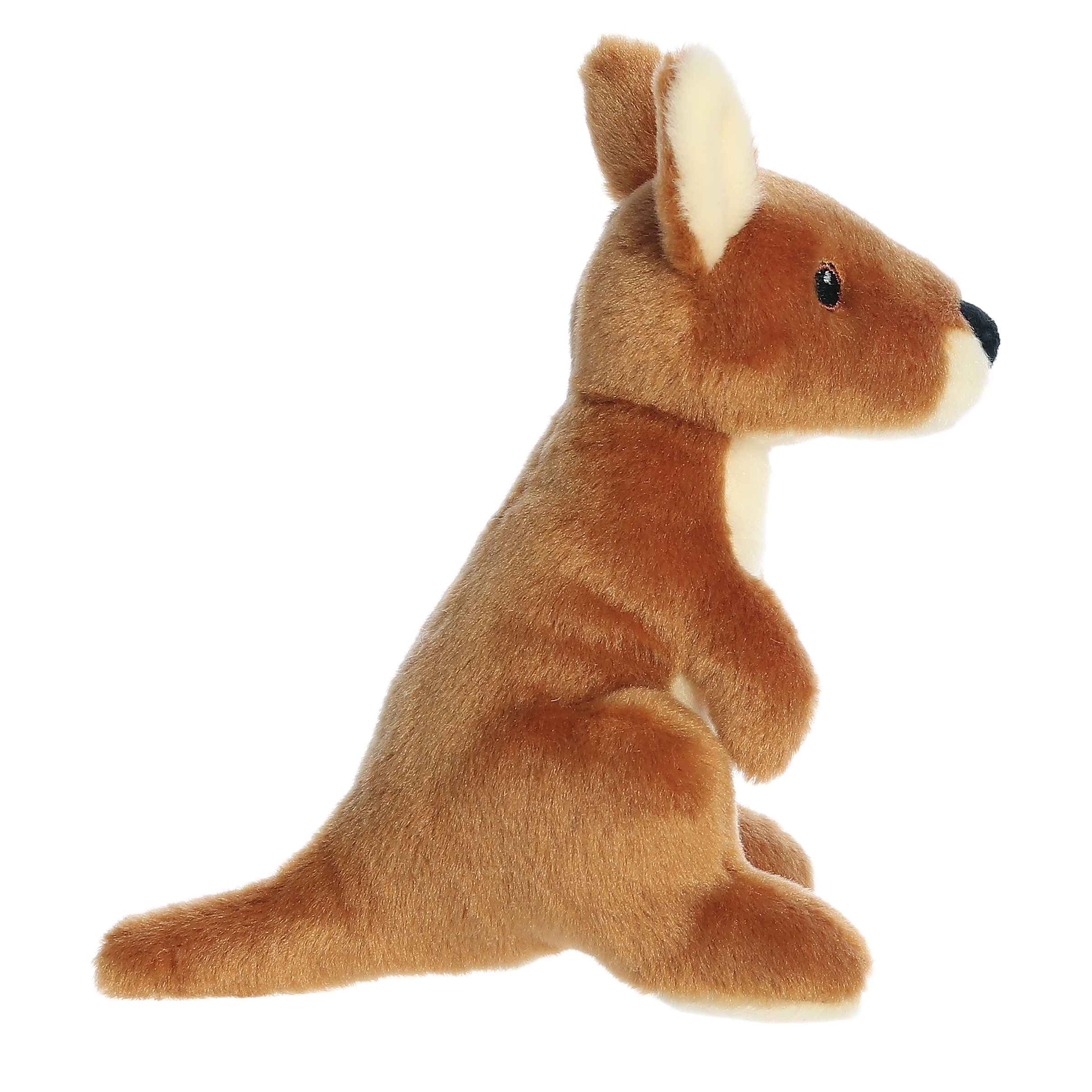 Aurora® - Eco Nation™ - Eco Softies™ - 8 Kangaroo、mySite、g9winljtr