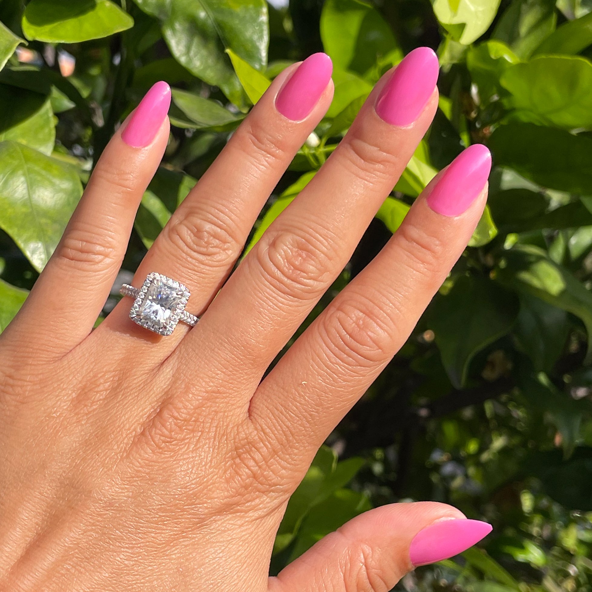 How Do You Spell Bougainvillea? - Press-On | Medium | Oval、mySite、solidvoid