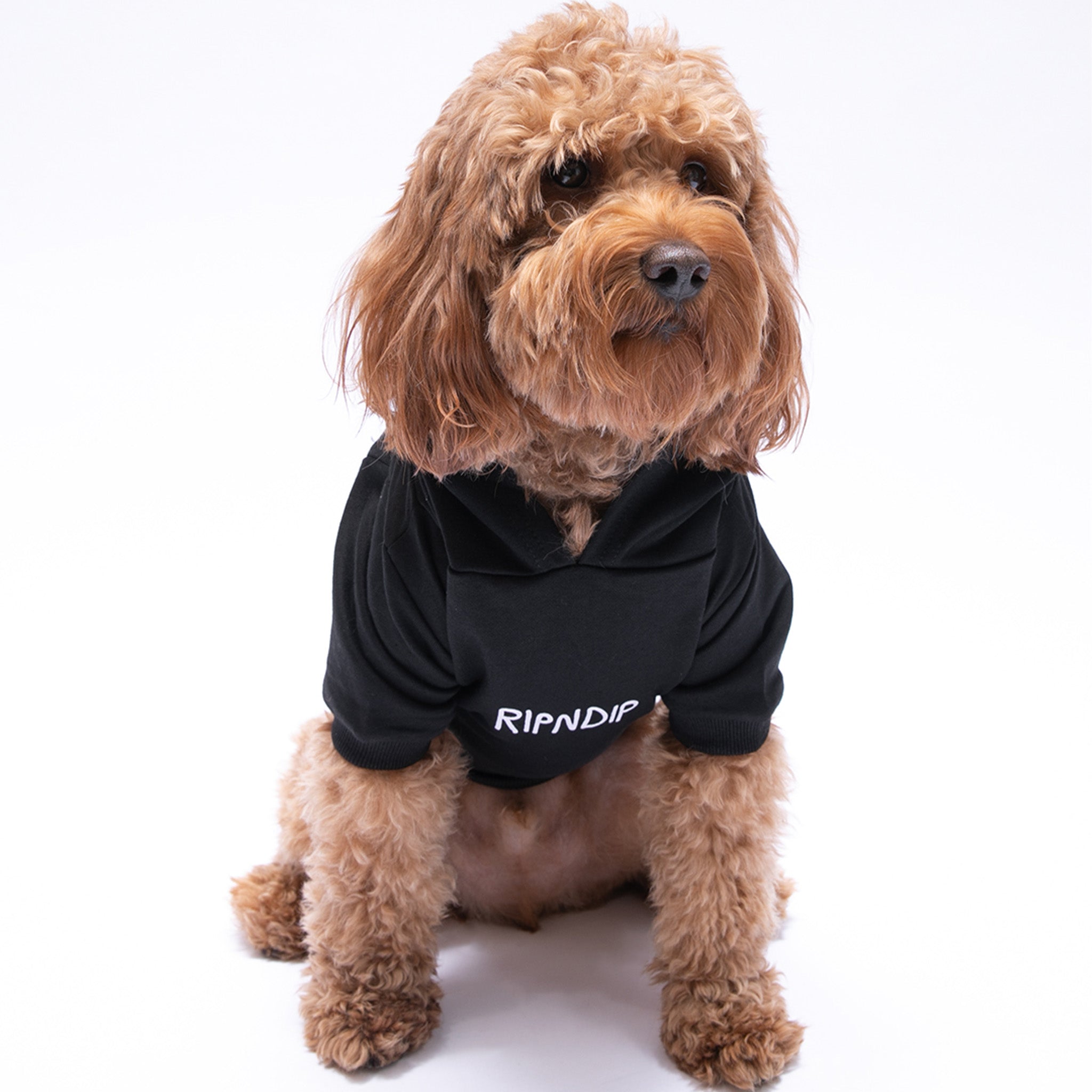  Lord Nermal Pet Hoodie (Black)、mySite、merchandisen