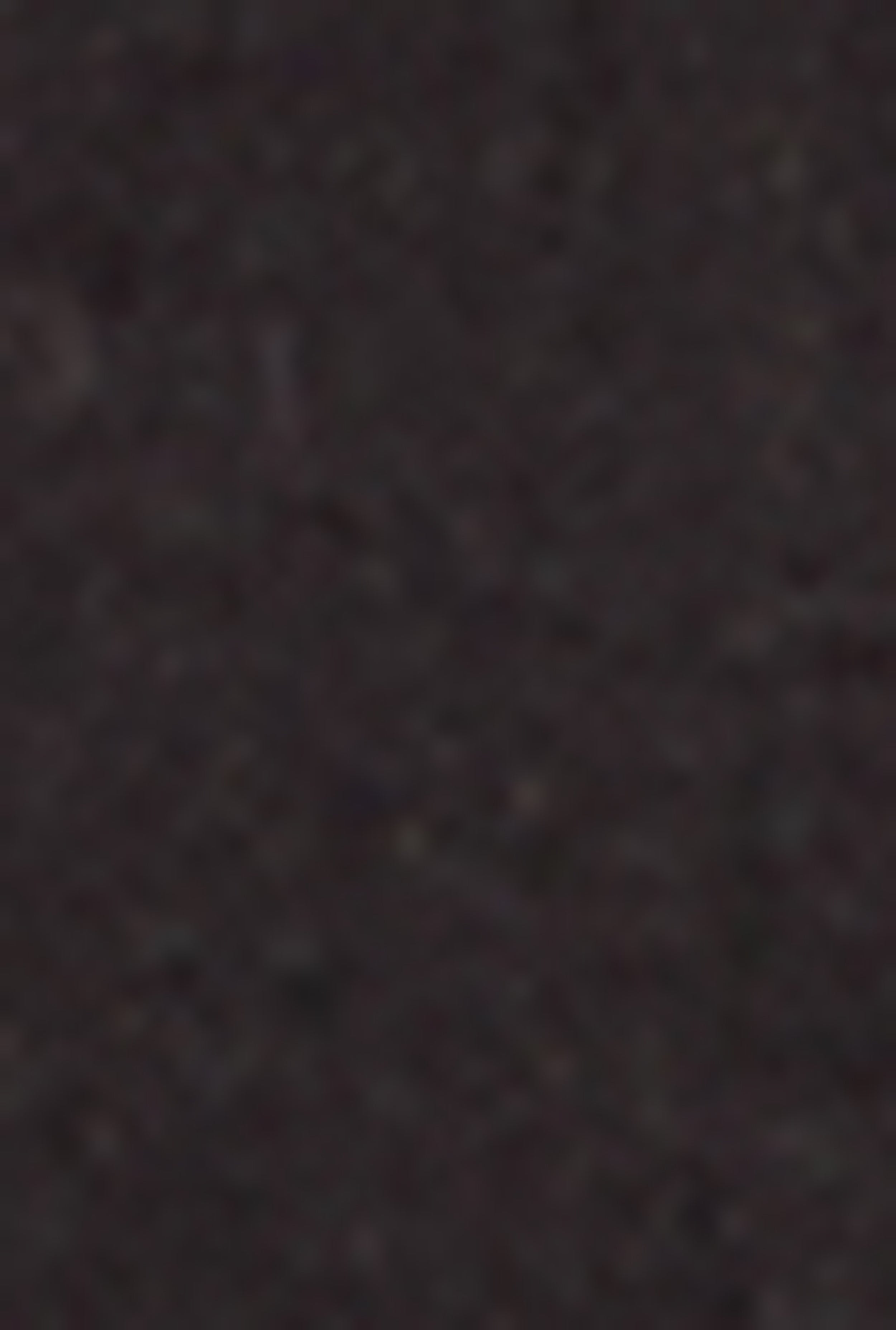 VIP Whiskered Straight Leg Cargo Jeans、mySite、camillekostekn