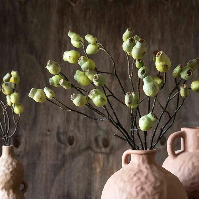  Eucalyptus Gum Nut Stem、mySite、elrpsem3k