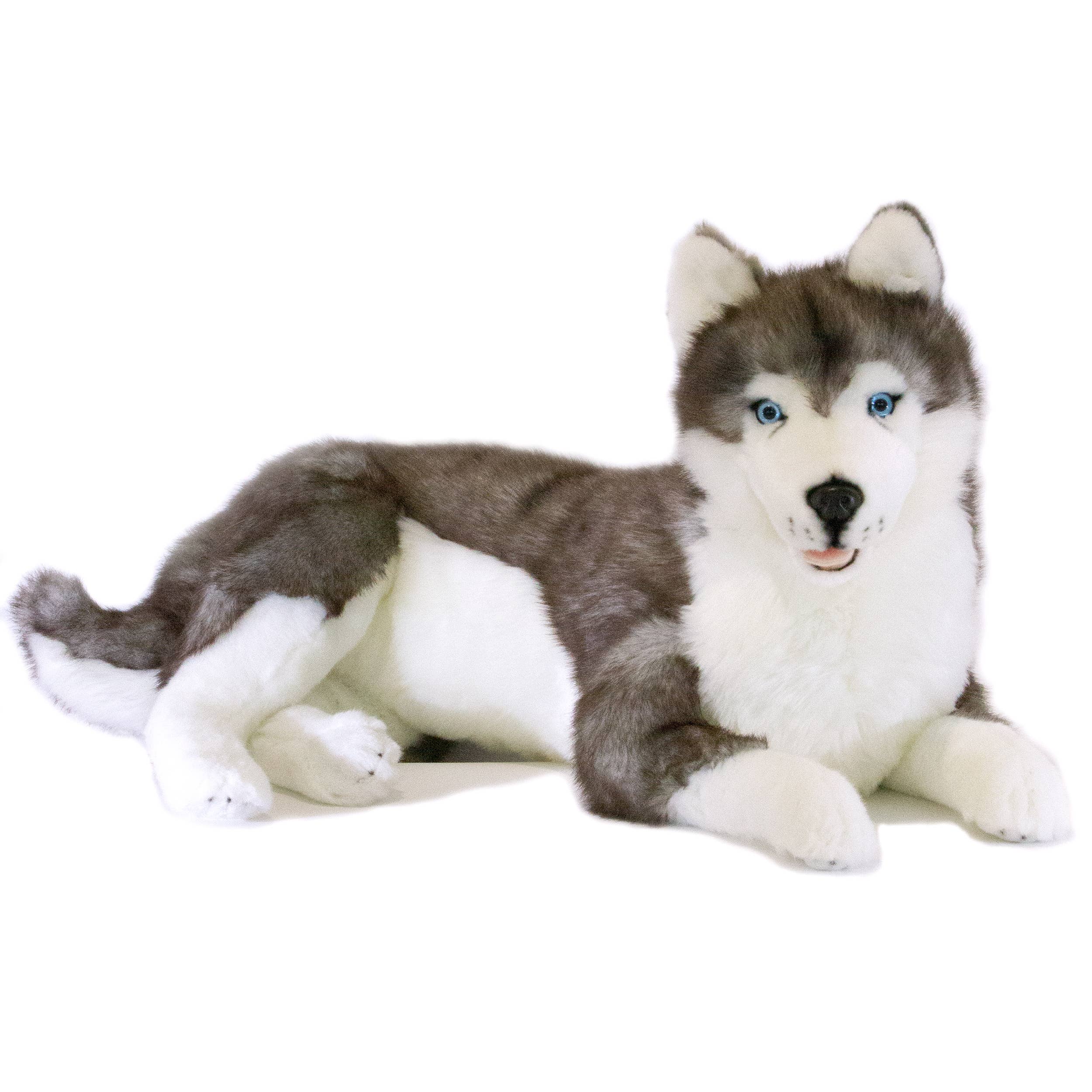 Realistic Plush Husky Large Size 64cm/25、mySite、g9winljtr