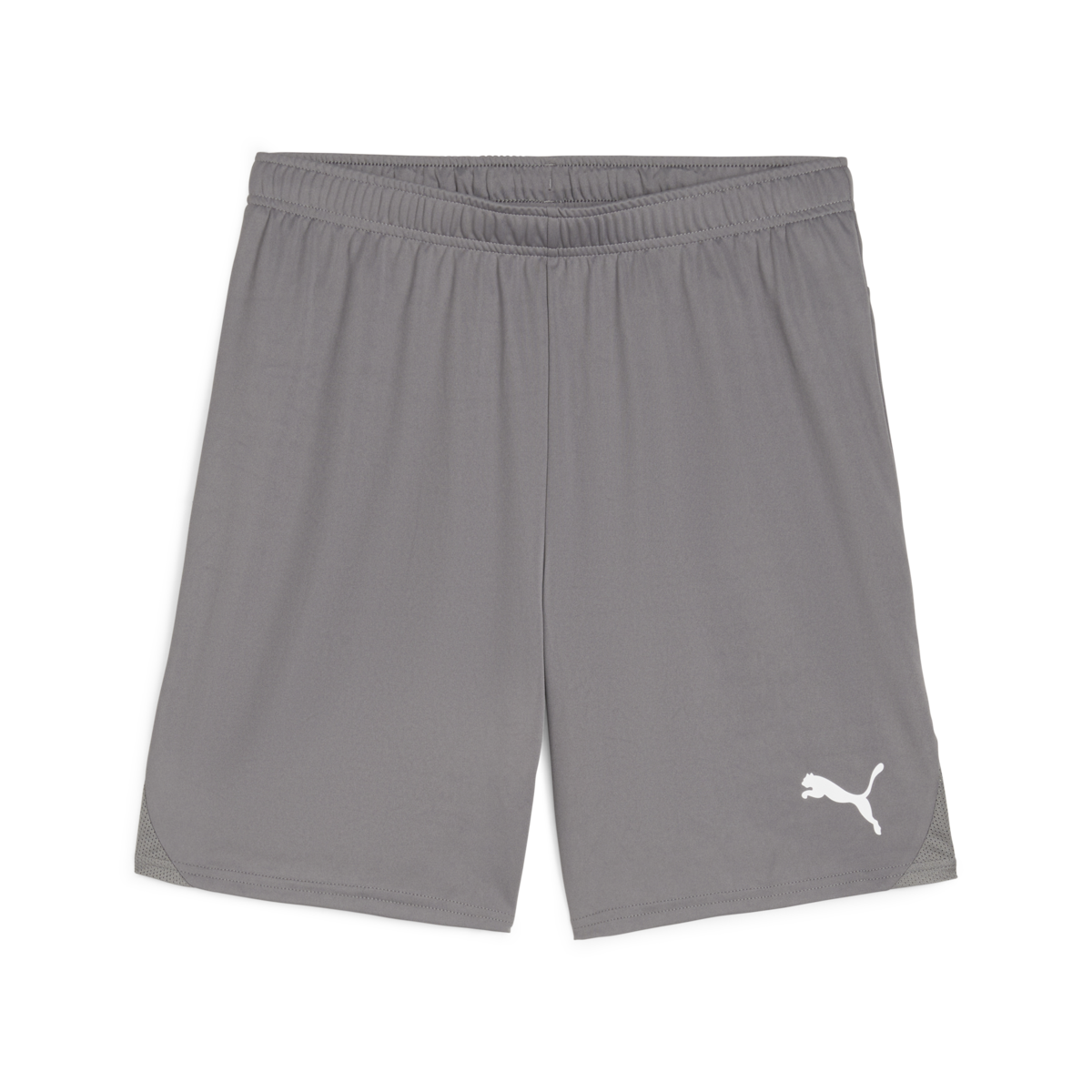 Puma Teamgoal Shorts - Grey、mySite、noshort