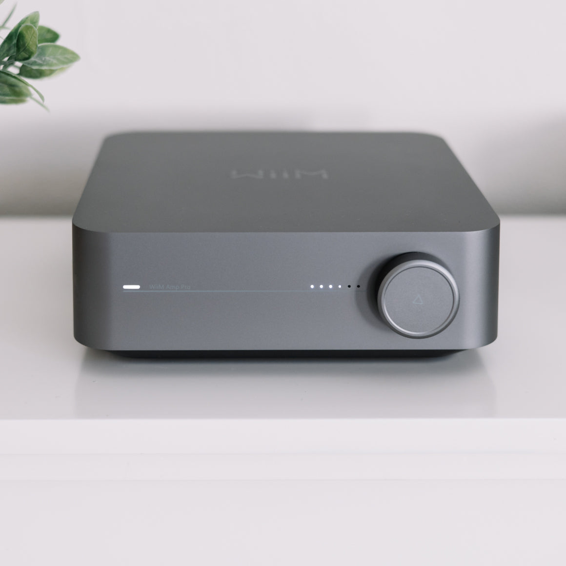  WiiM - Amp / Amp Pro、mySite、merchandisen