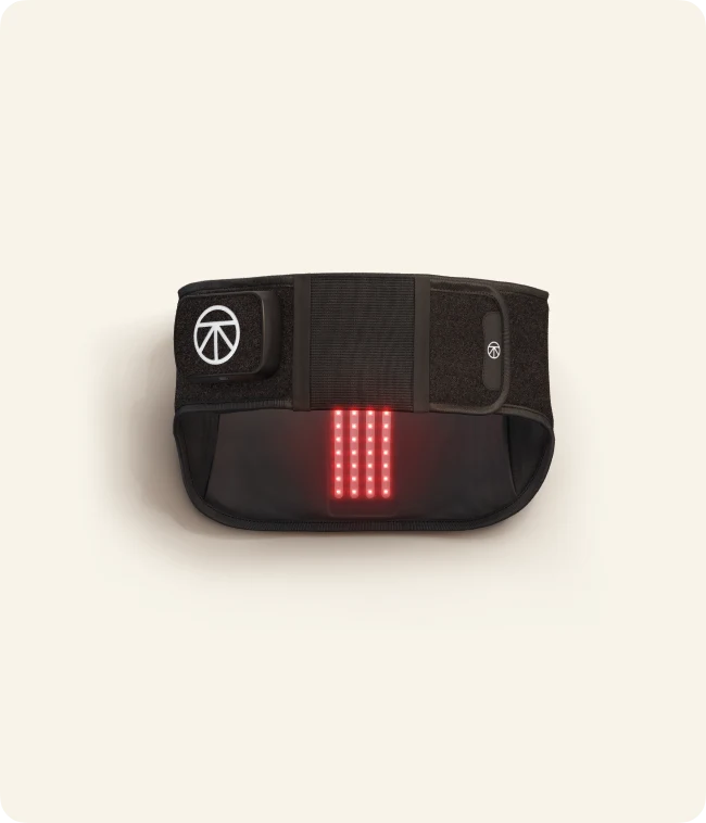 ThermBack LED、mySite、shThermBack LED、mySite、glenpowelloop_name