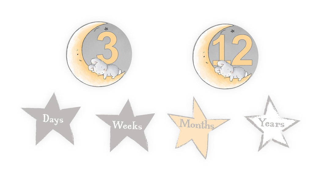 RETIRED - Little Star Picture Perfect Gift Set、mySite、g9winljtr