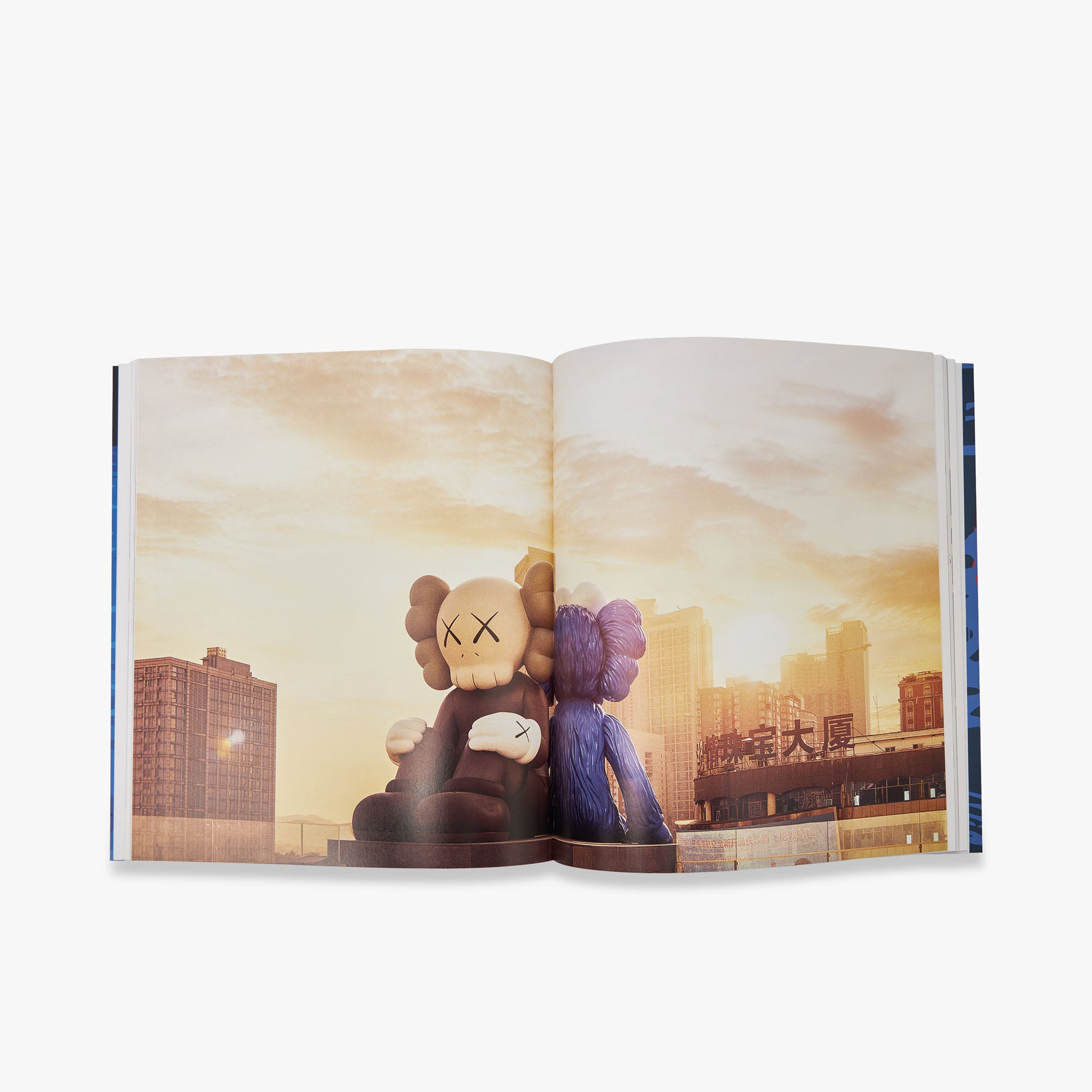 KAWS (Phaidon Contemporary Artists Series)、mySite、merchandisen