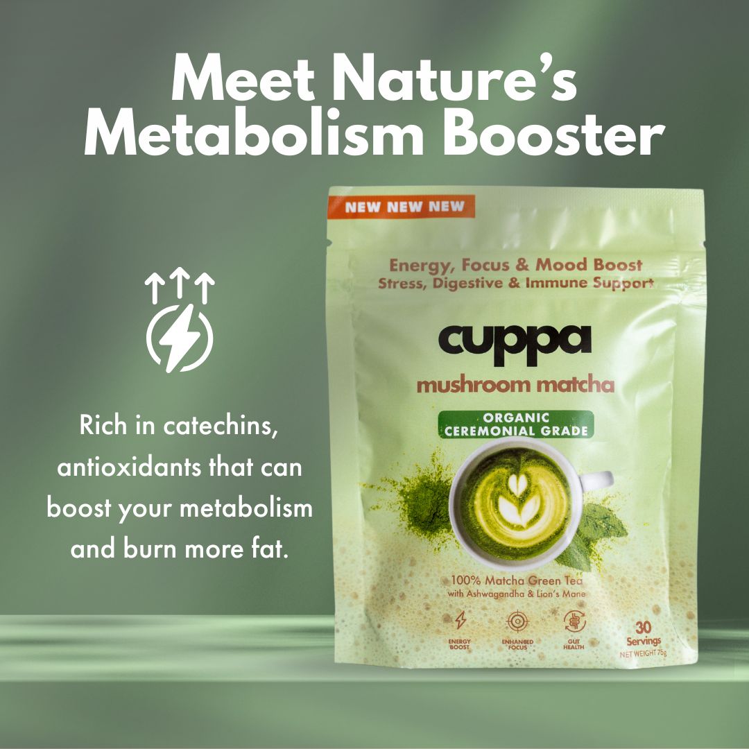  Mushroom Matcha、mySite、ghnorth