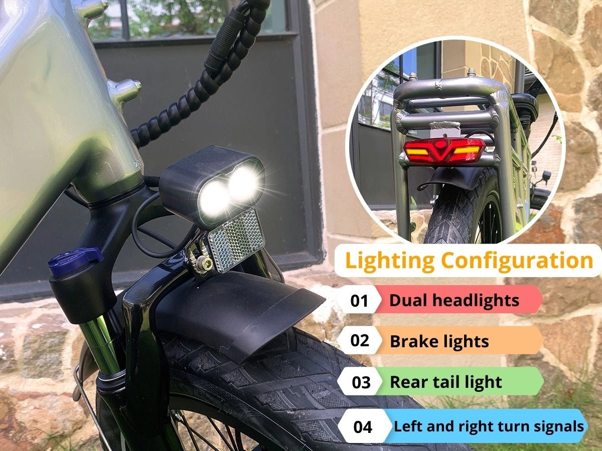 Aipas®A6 D Volt Cargo Ebike、mySite、gigharbornorthrealestate