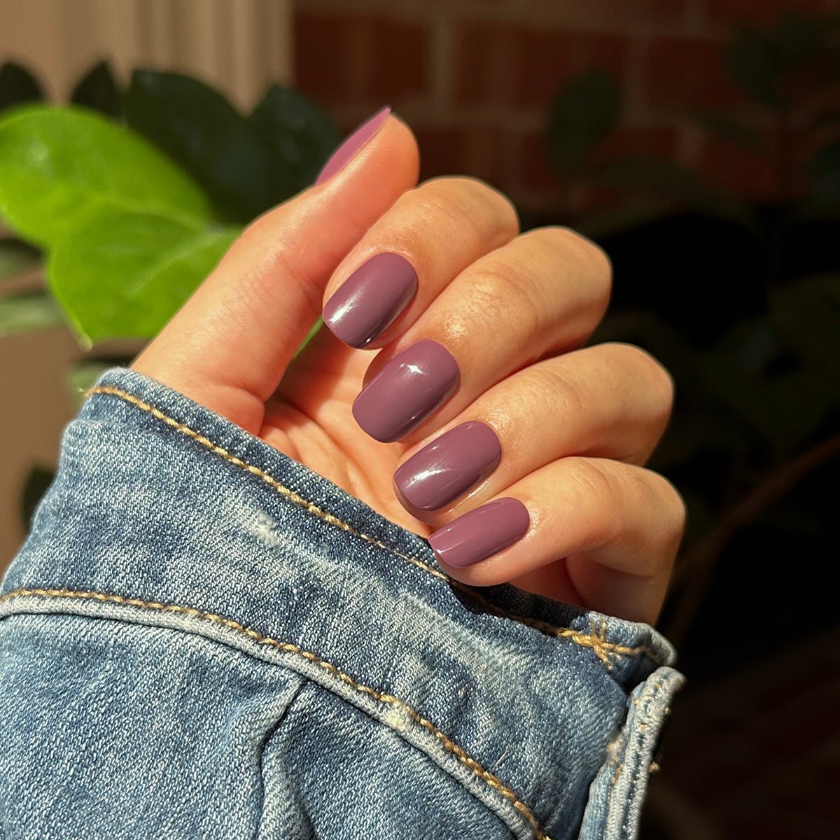 Cardigan | Short | Squoval - Tab Press-On、mySite、solidvoid