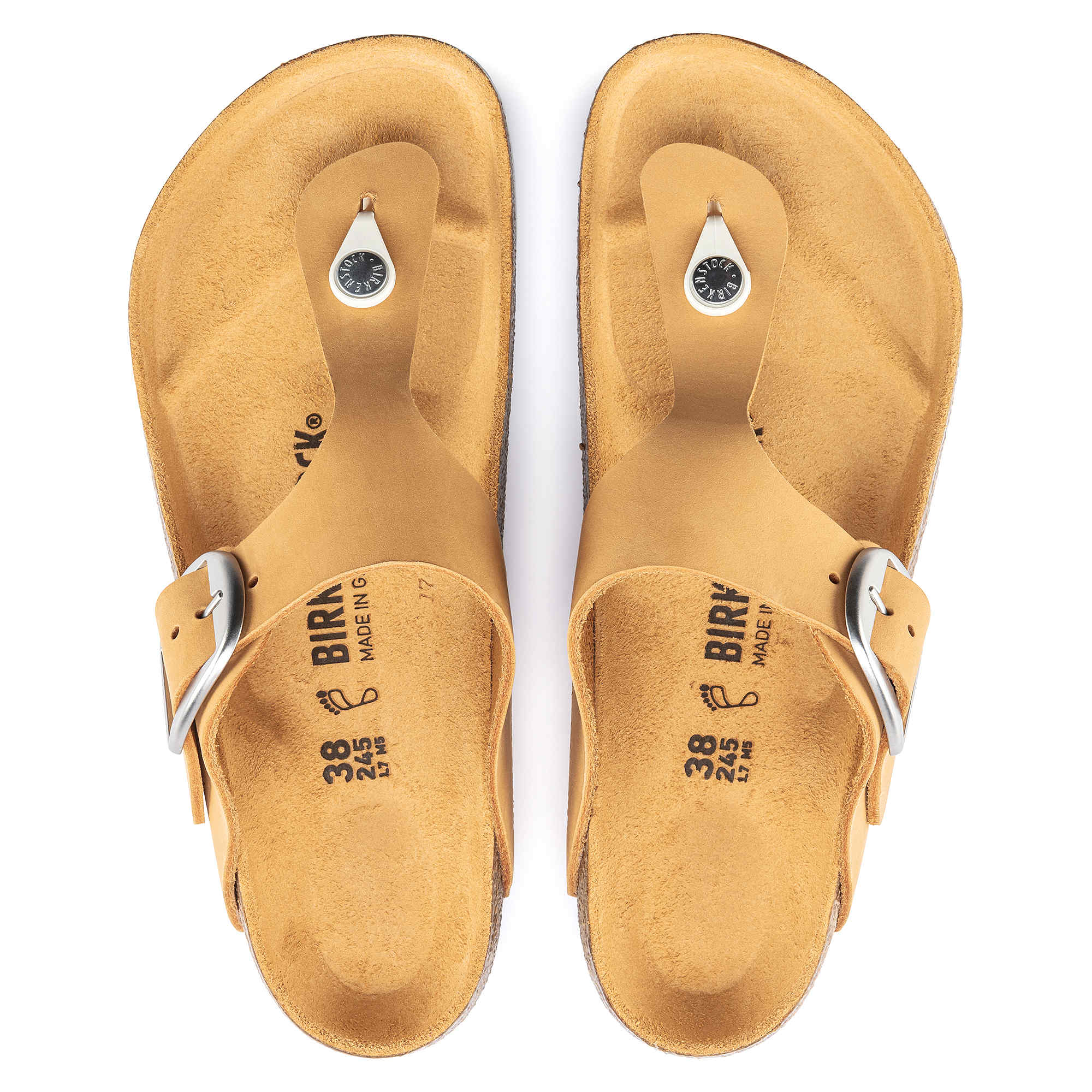 Gizeh Big Buckle Nubuck Leather、mySite、gtrtttuynbv