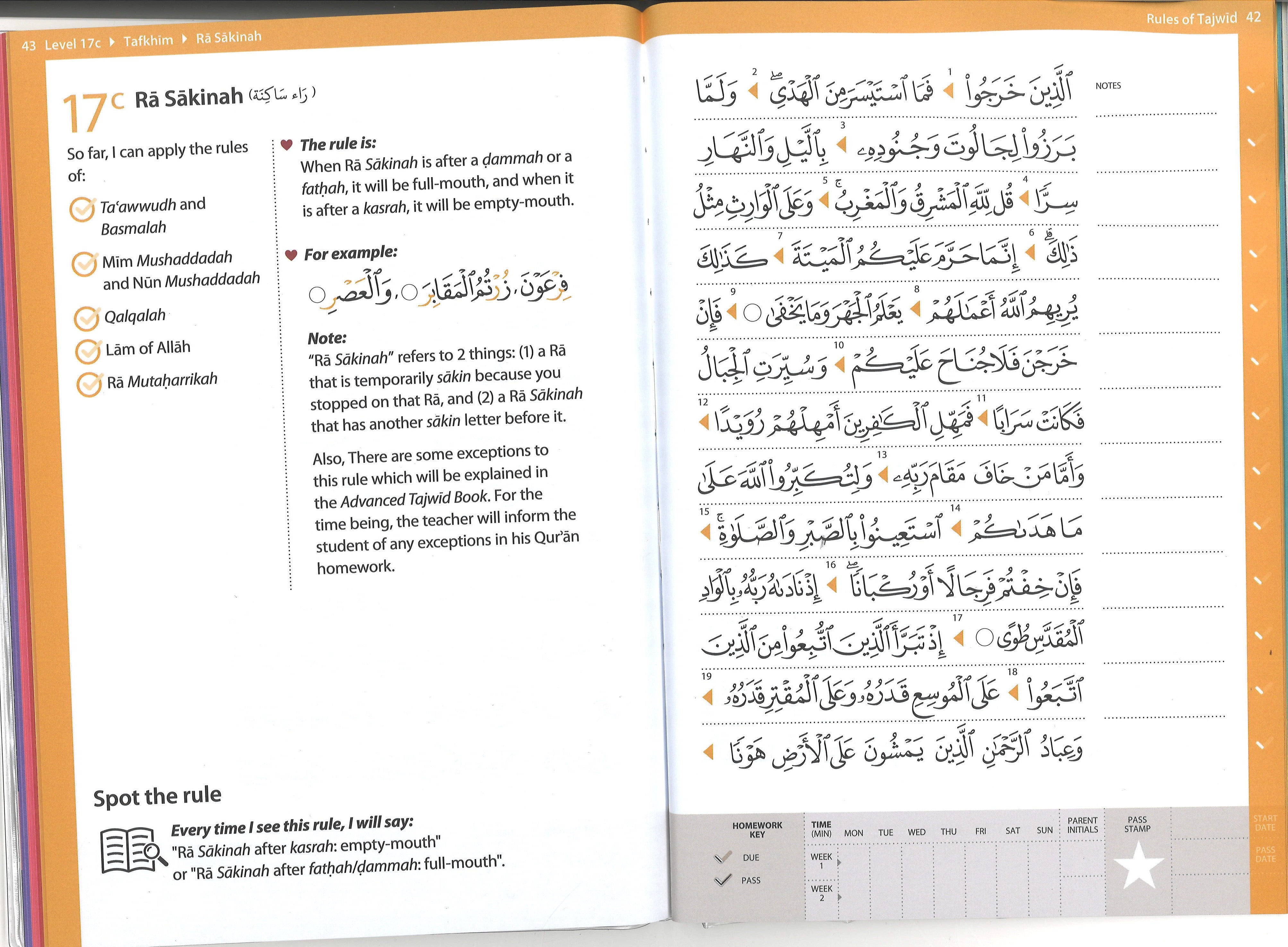 Rules of Tajwid (Madinah Script ) - Learn to Read Series、mySite、topwebapps