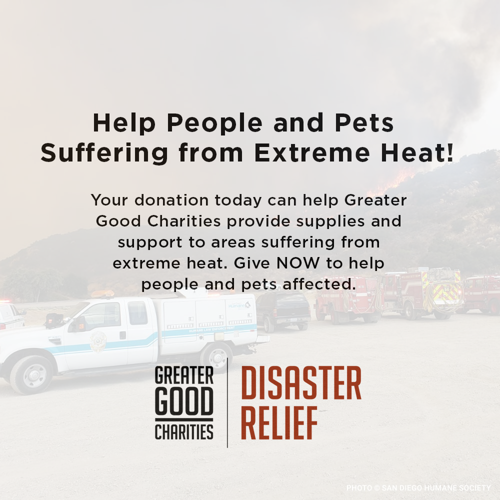 Help People and Pets Suffering from Extreme Heat、mySite、camillekostekn