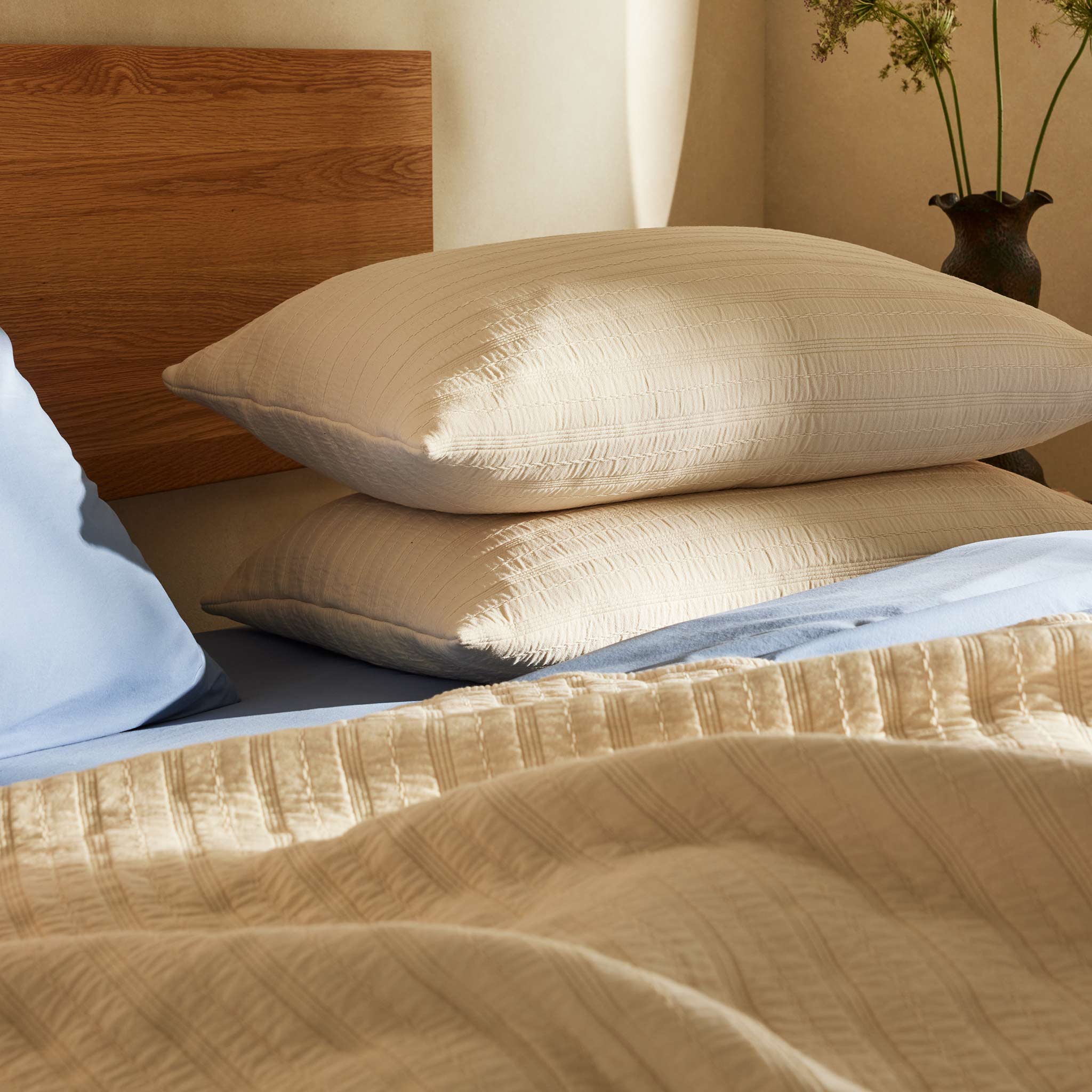  Organic Cotton Shams - Last Call、mySite、sugarbowlscore