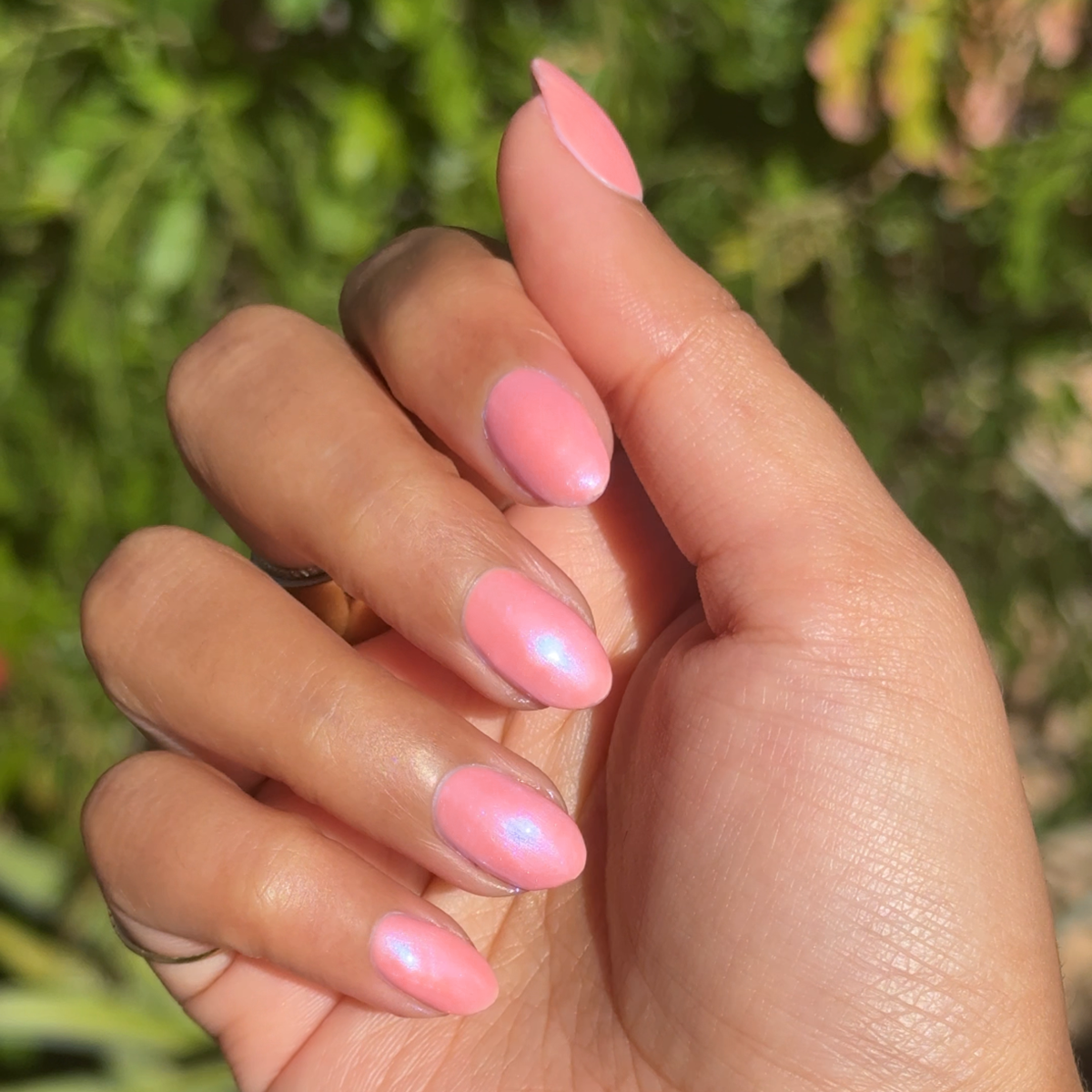 Olive Y'all、mySite、solidvoid