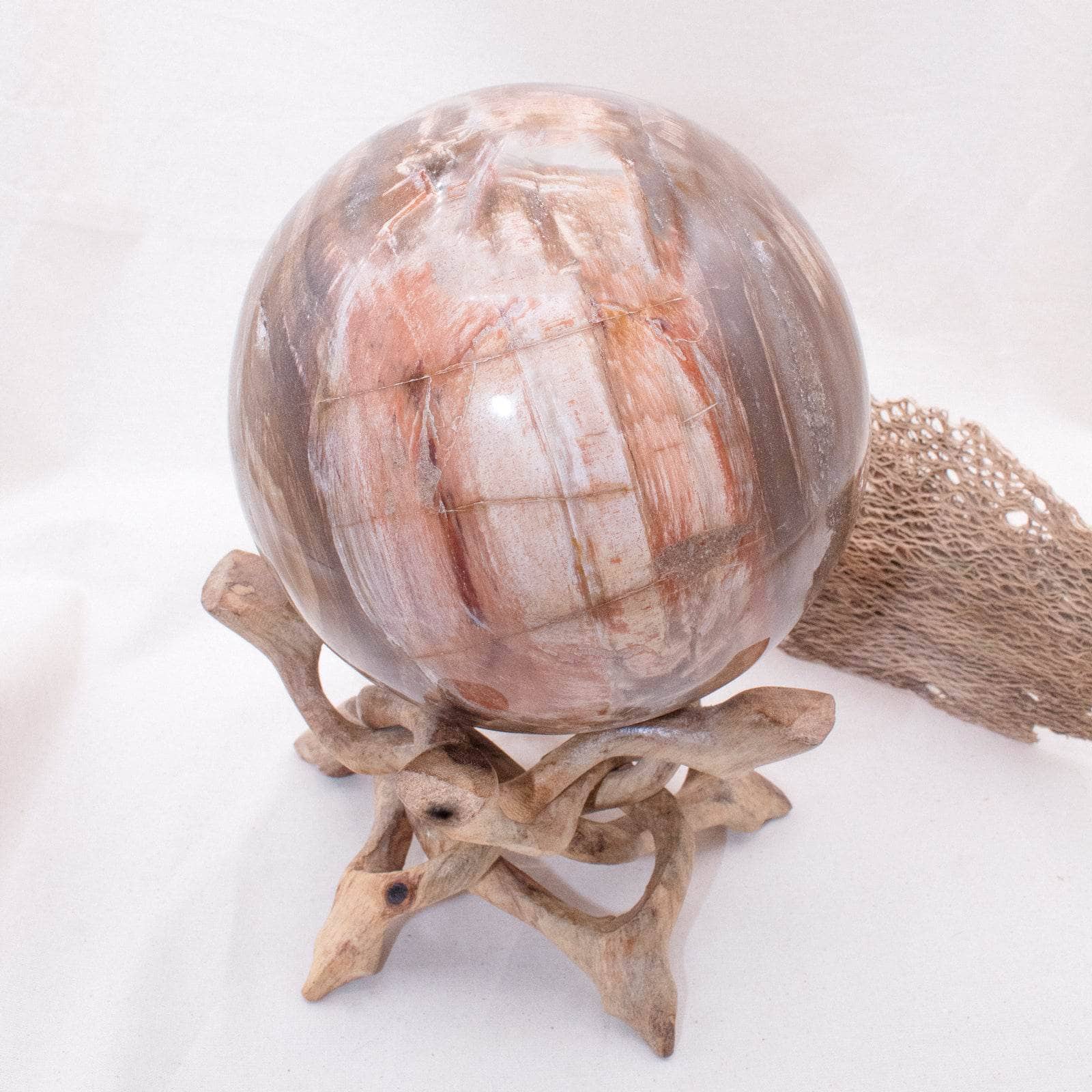 Petrified Wood Sphere - AAA Premium Quality、mySite、hinf8tx79