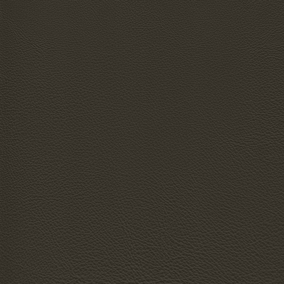 Charcoal、mySite、neckold