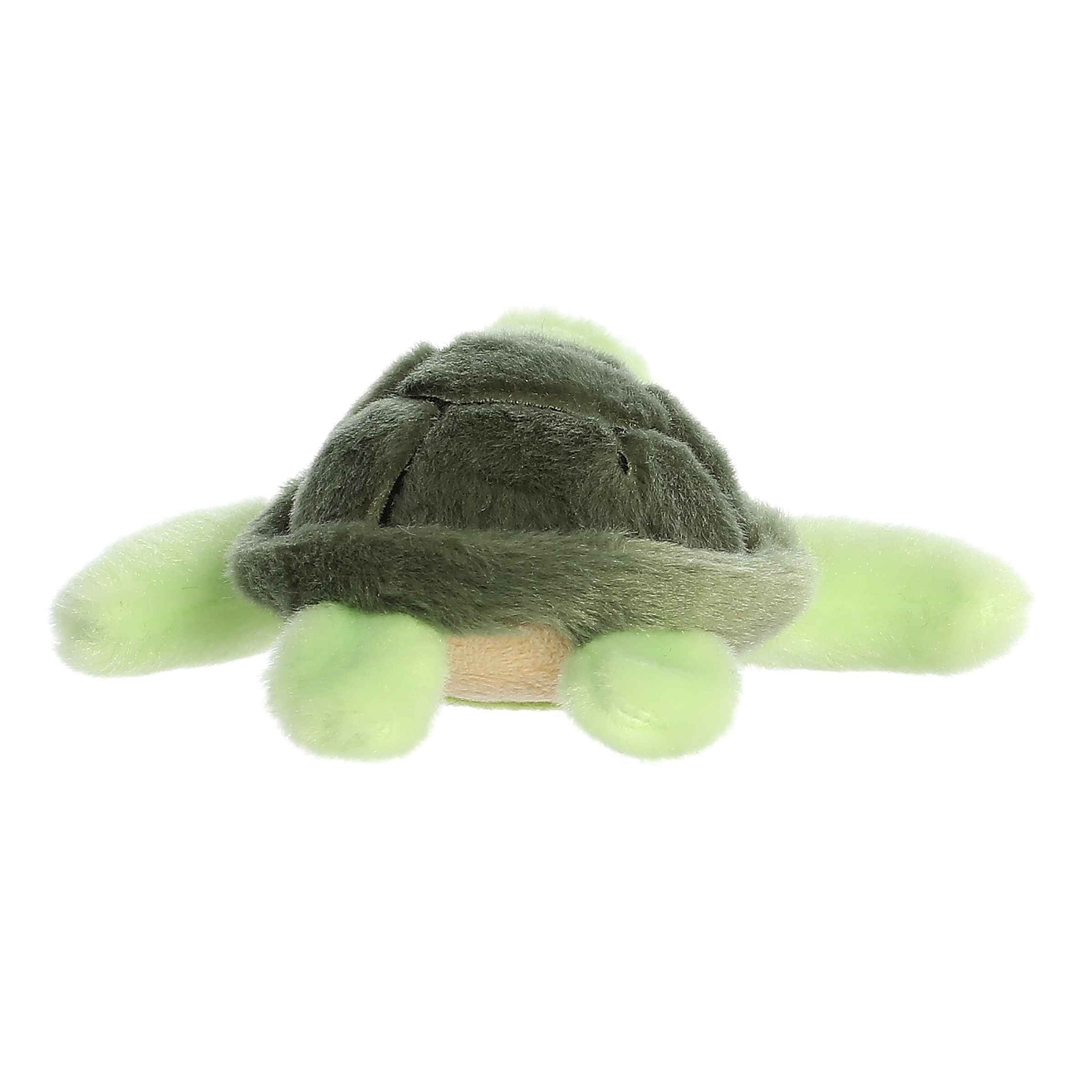 Aurora® - Shoulderkins™ - 5.5 Saavy Sea Turtle™、mySite、g9winljtr
