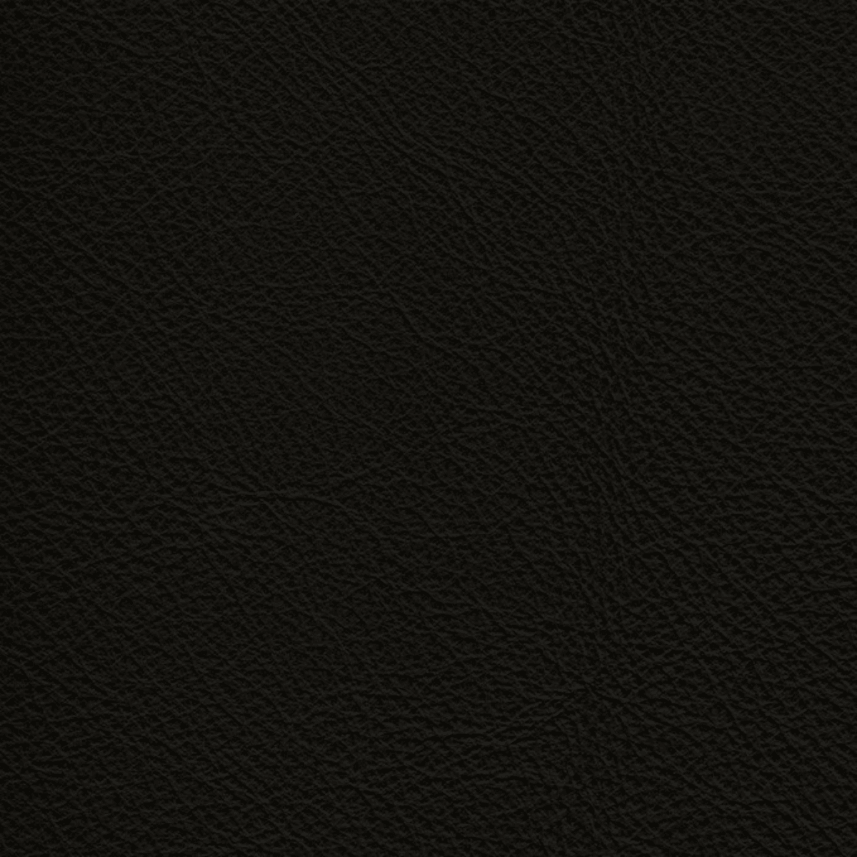 Black、mySite、neckold