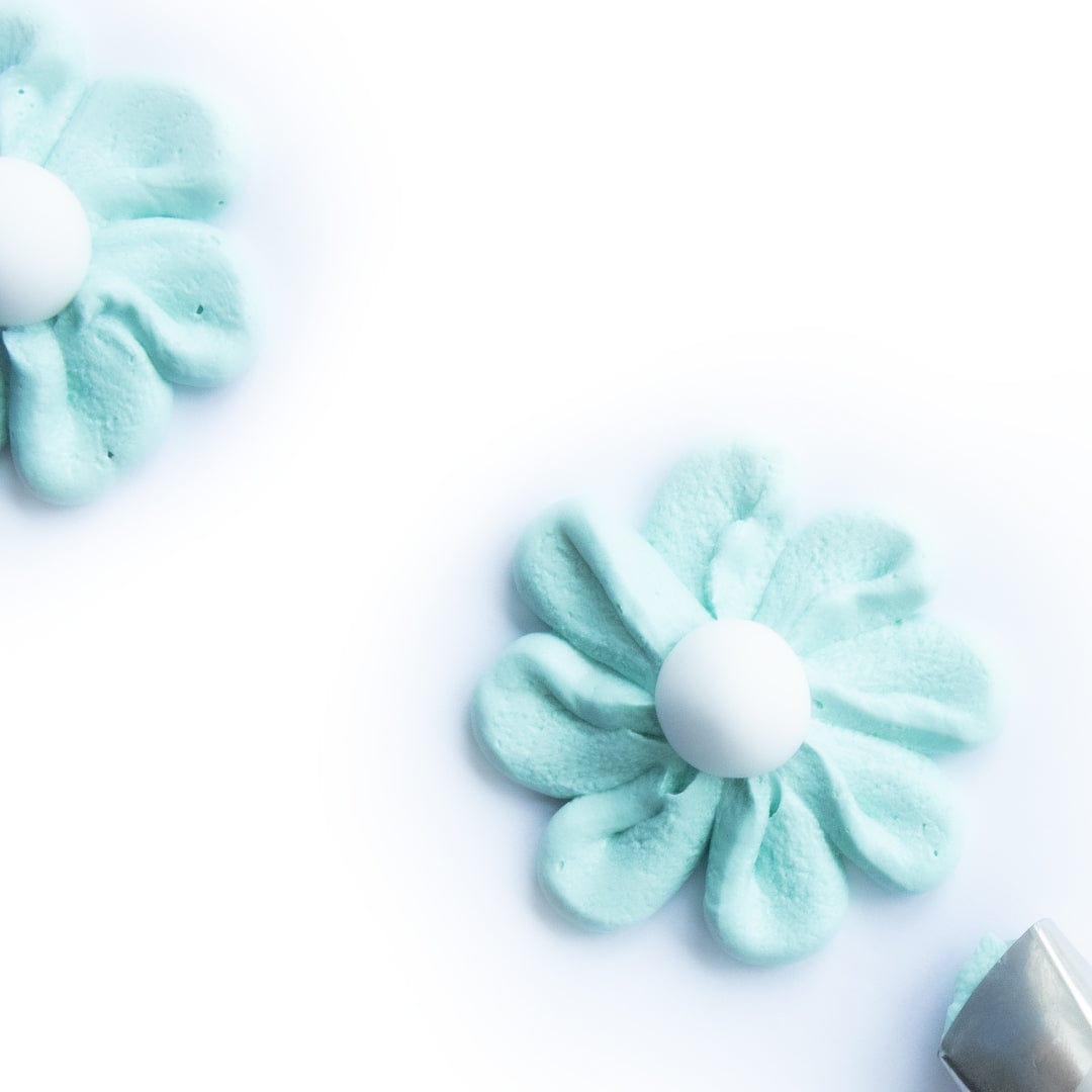  Flach-T眉lle JEM 127、mySite、elrpsem3k