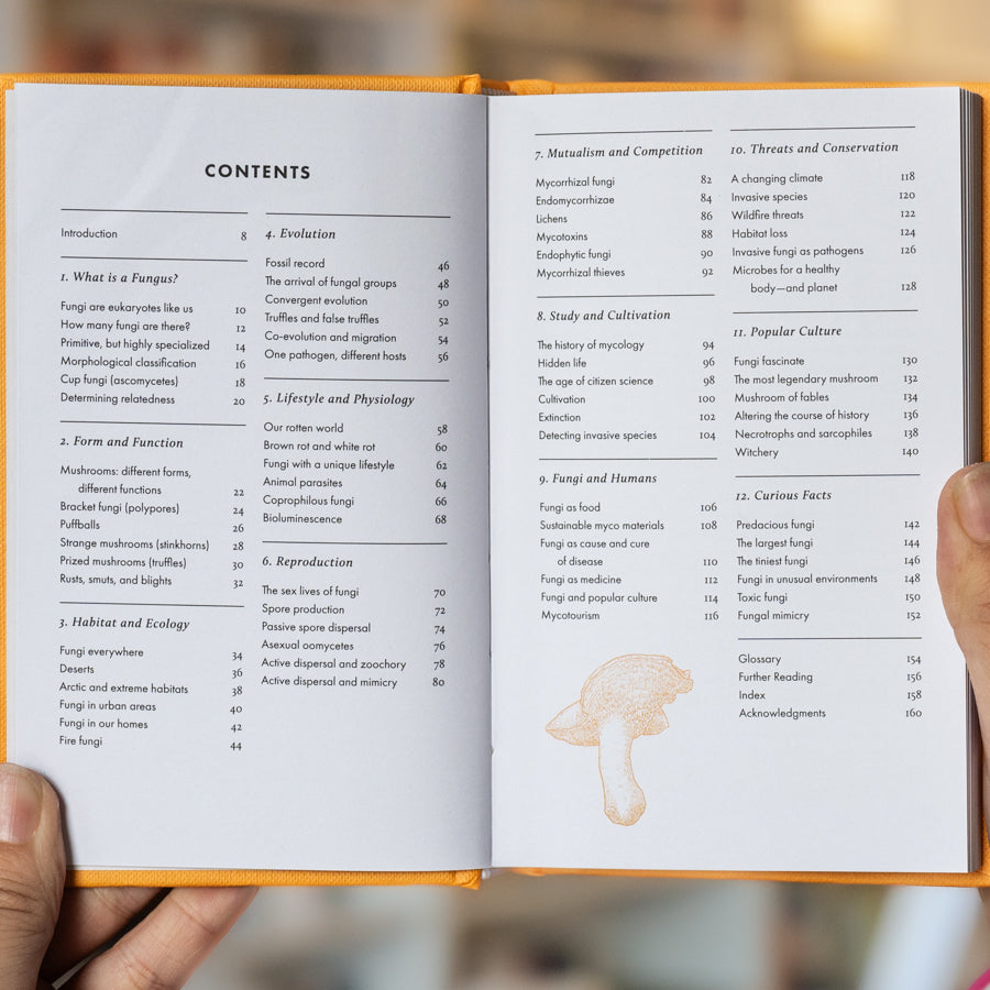 The Little Book of Fungi、mySite、topwebapps