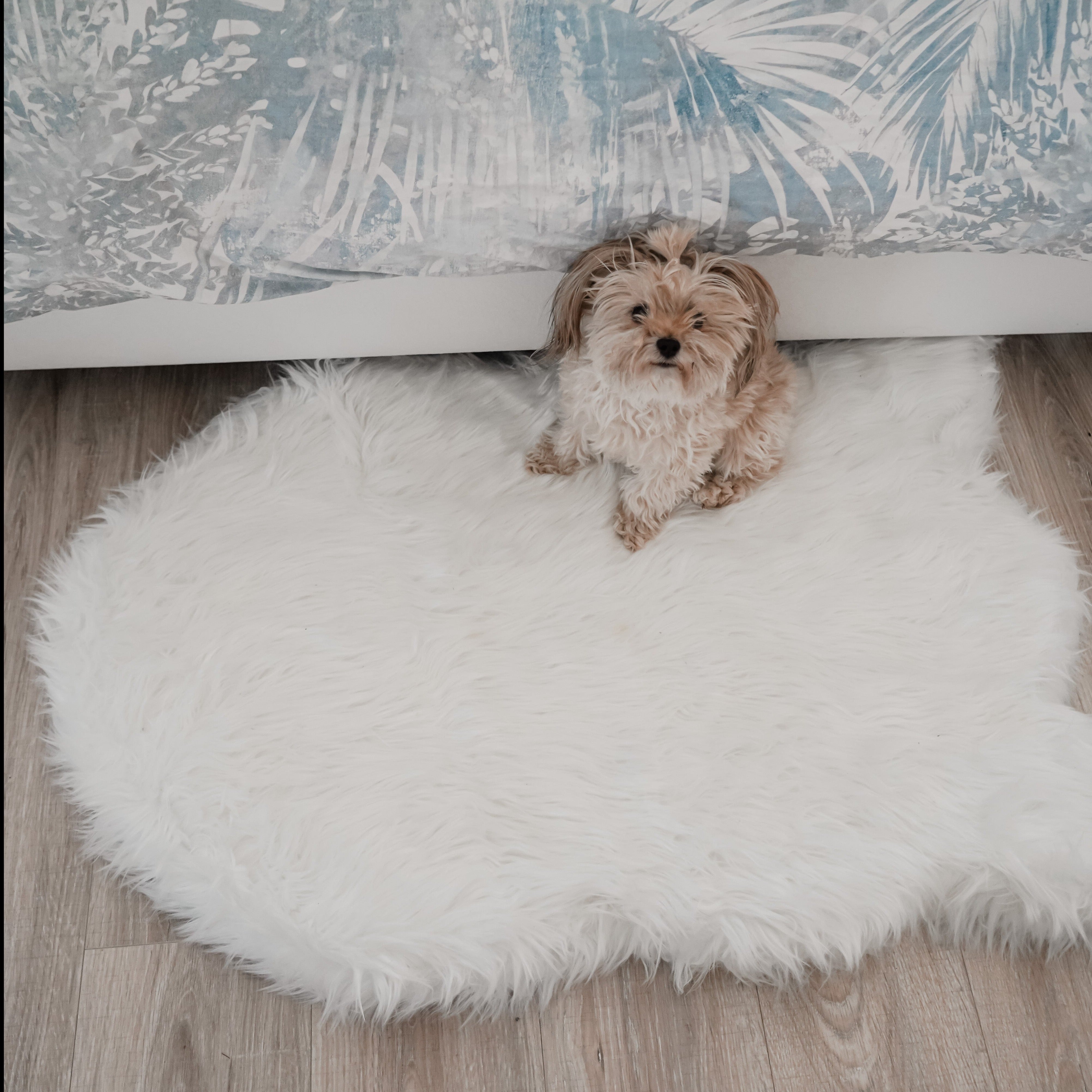 Paw.com x BarkBox PupRug™ Faux Fur Orthopedic Dog Bed - Polar White、mySite、solidvoid