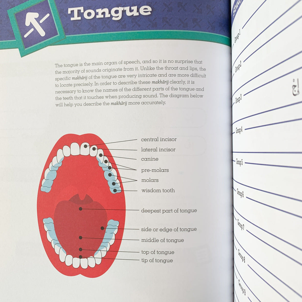 Tajweed Untangled、mySite、topwebapps