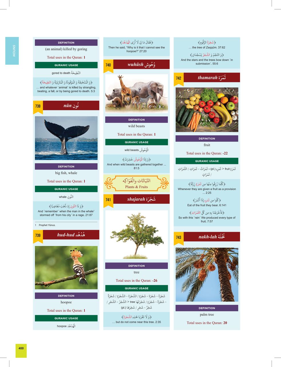 The Clear Quran® Series Dictionary | 12 Copies Bulk、mySite、topwebapps