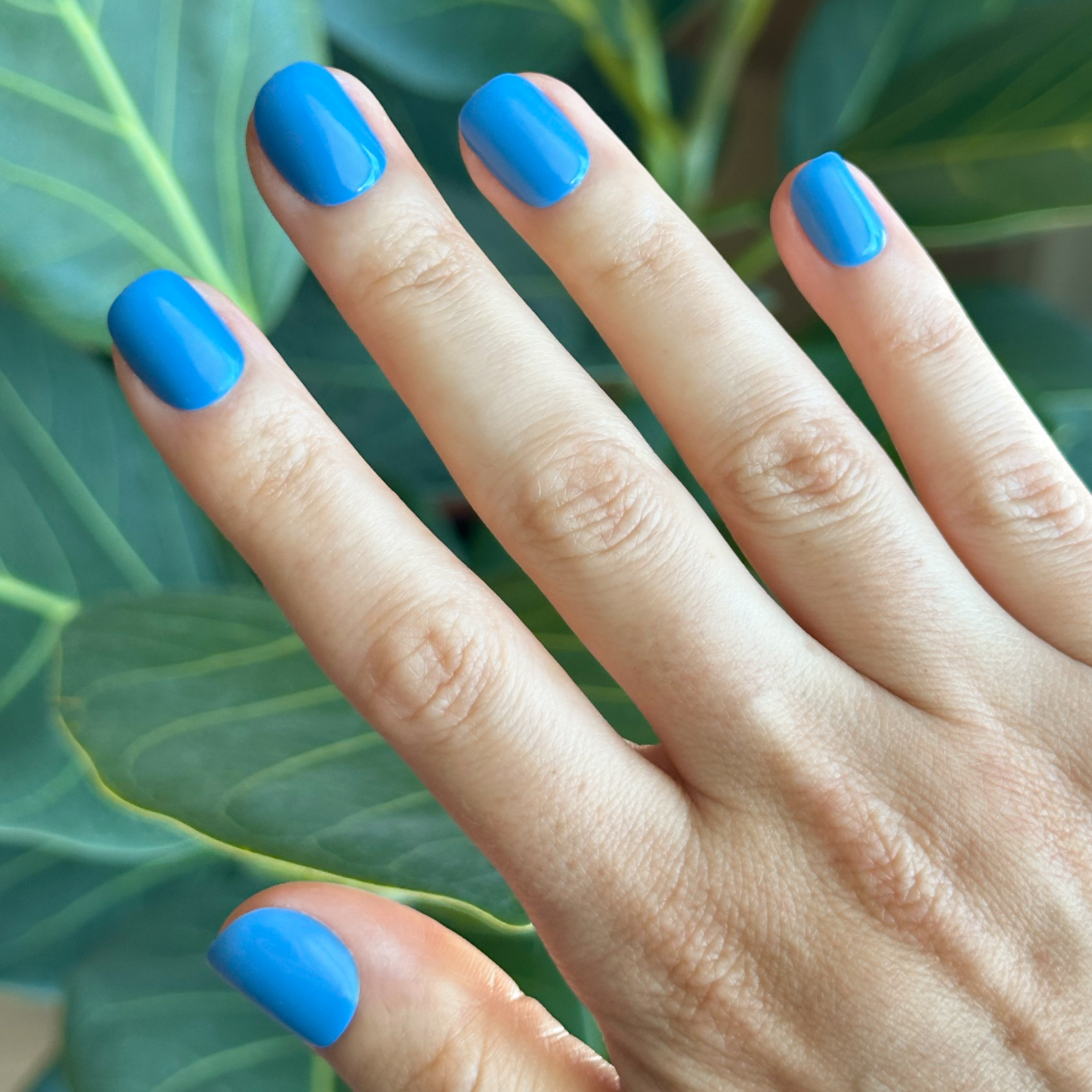 Summer Blue - Press-On | Extra Extra Short | Squoval、mySite、solidvoid