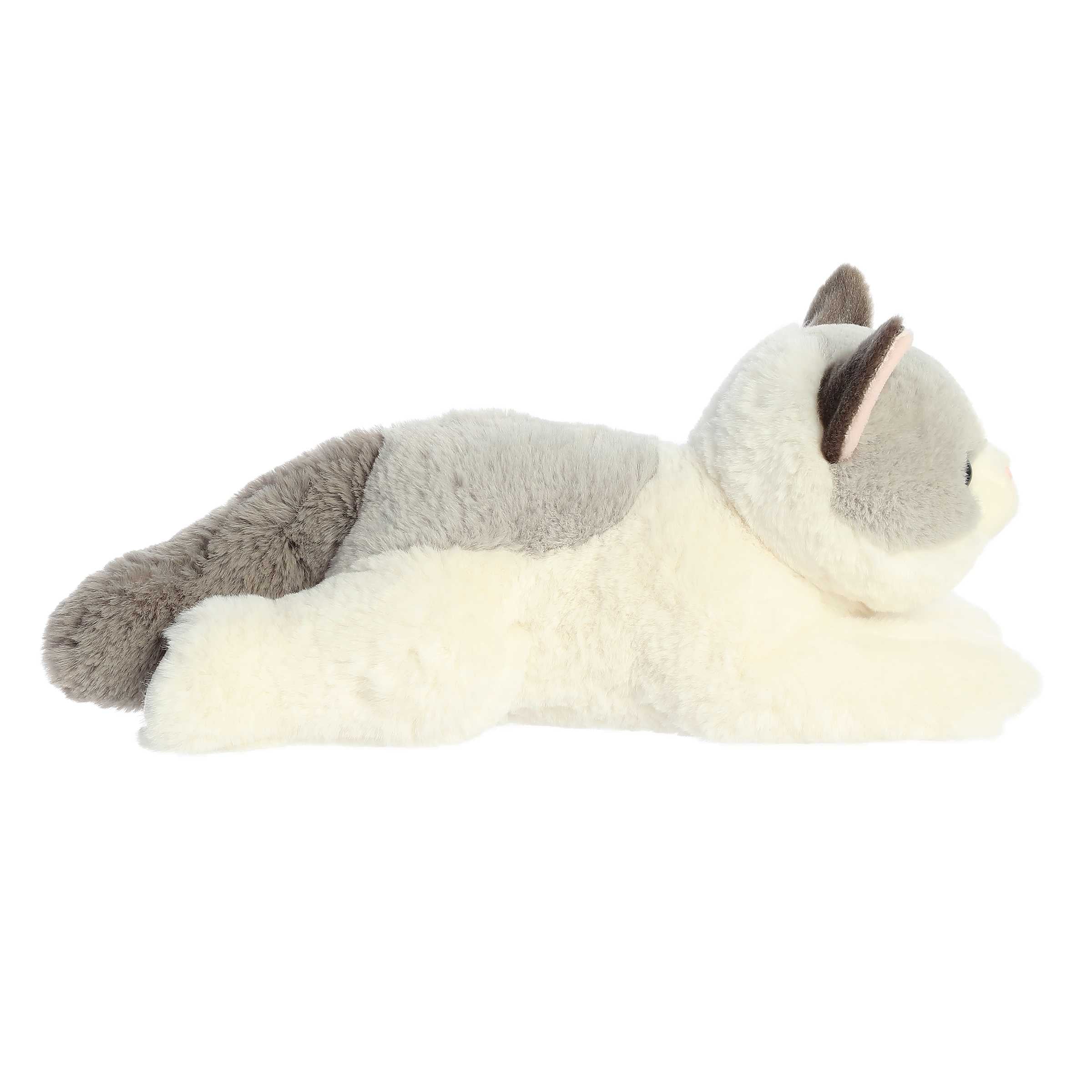 Aurora® - Flopsie™ - 12 Nico Ragdoll、mySite、g9winljtr