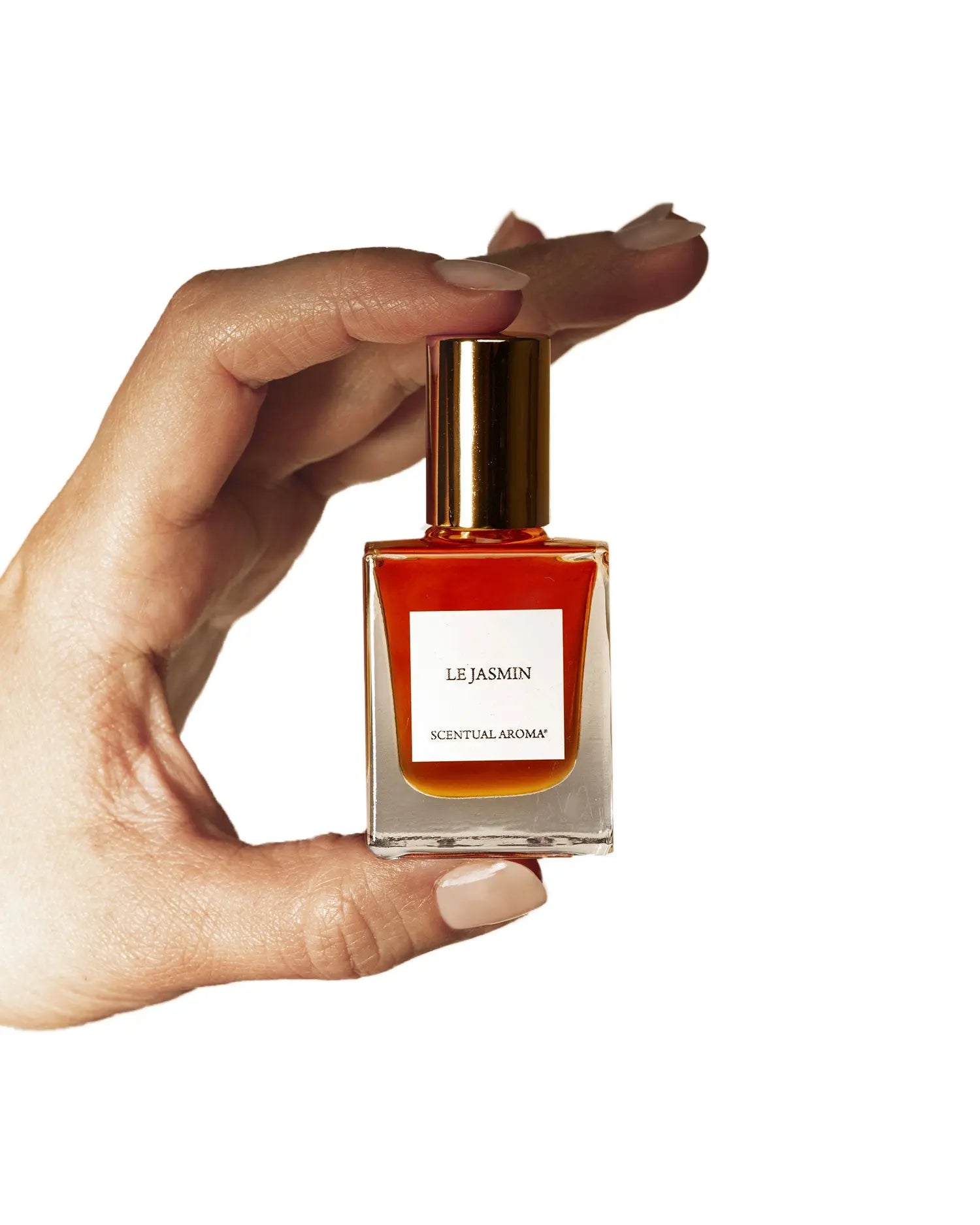  L'Ambre Botanical Perfume Oil、mySite、elrpsem3k