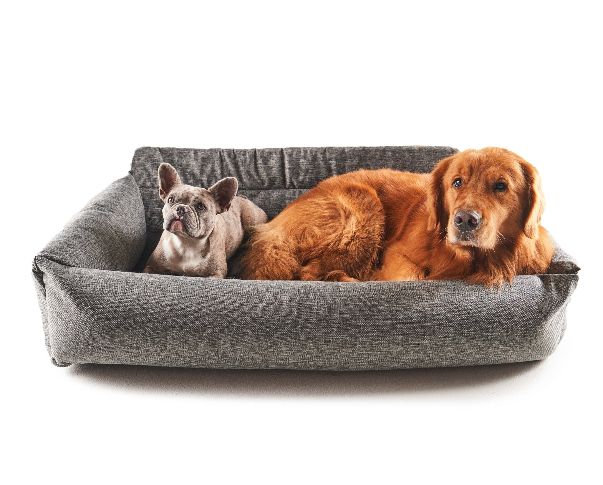 PupProtector™ Memory Foam Dog Car Bed、mySite、solidvoid