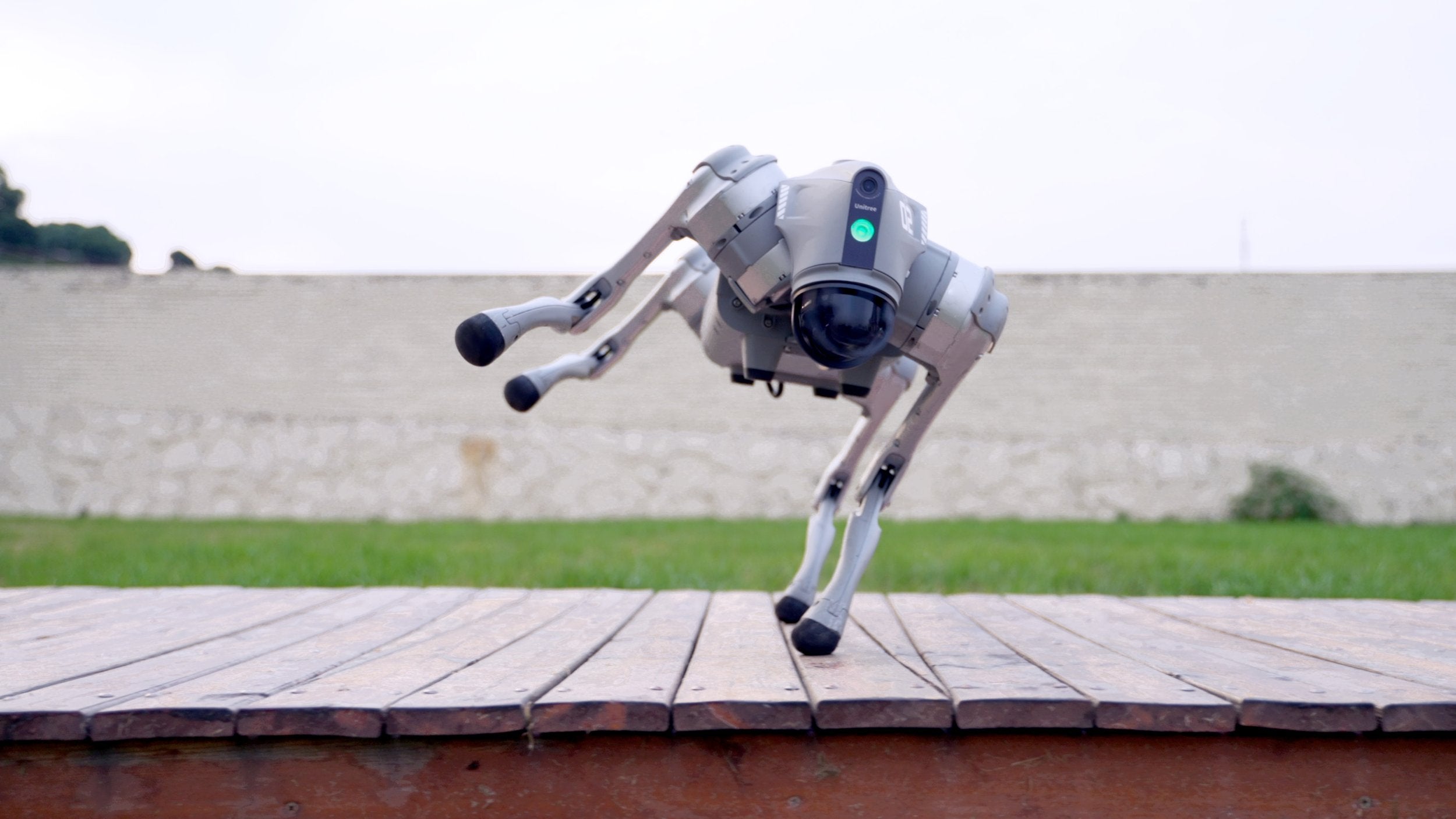 Unitree Go2 Ent、mySite、lovesweatpilates