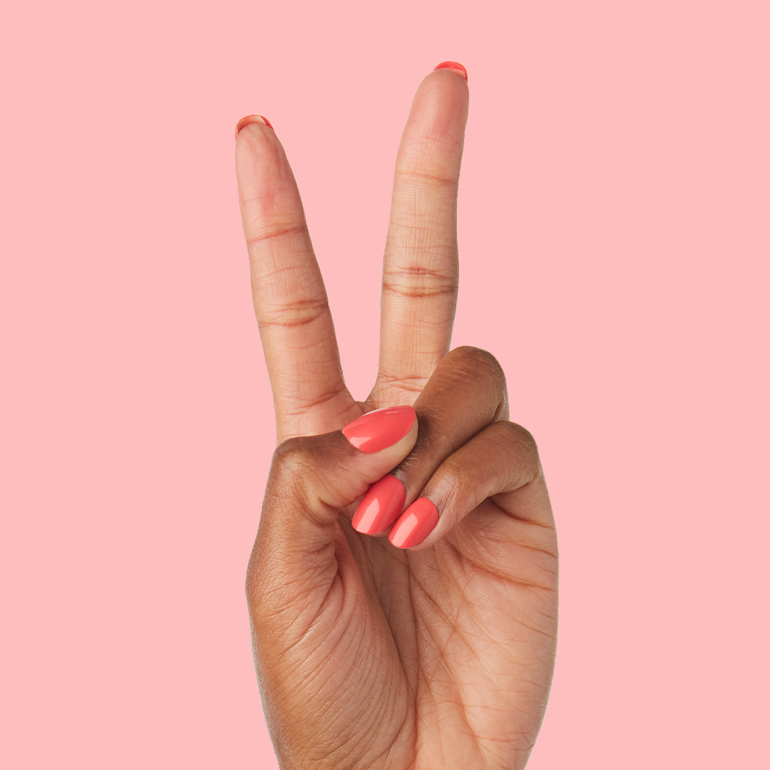 Field Day | Round | Extra Short、mySite、solidvoid