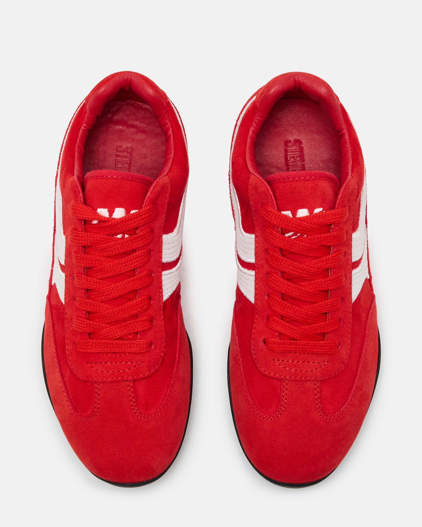 DOBSON RED、mySite、gtrtttuynbv