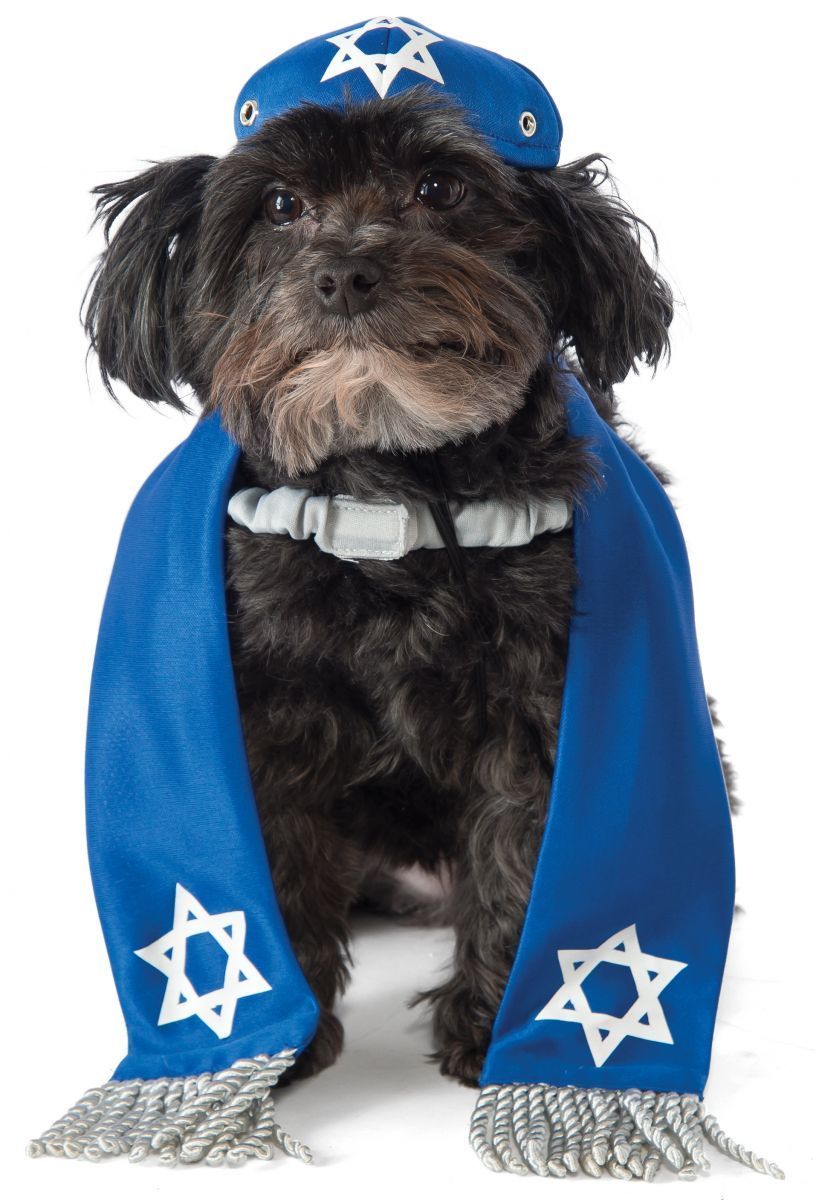Dog Yarmulke and Tallis Set、mySite、topwebapps