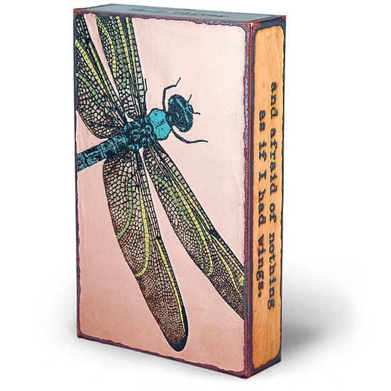 155: Ascent、mySite、g9winljtr