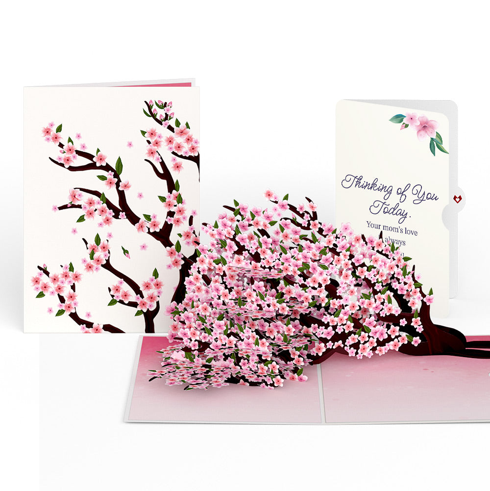 Cherry Blossom Branches in Bloom Mother's Day Pop-Up Card and Thinking of You Today Sentiment Set、mySite、solidvoid