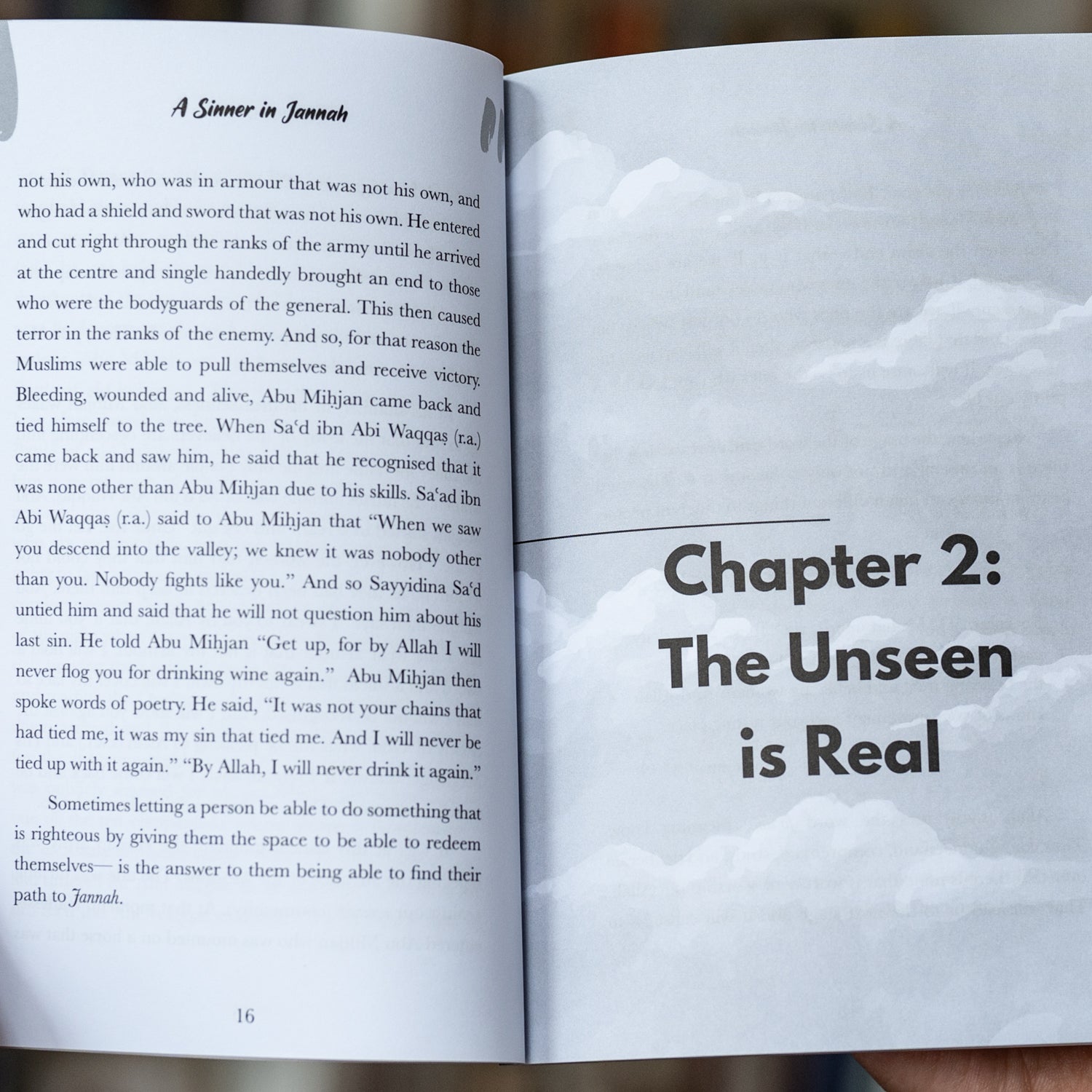 A Sinner in Jannah: Stories of Repentance, Hope and Mercy、mySite、topwebapps