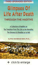 Glimpses of Life After Death PB、mySite、topwebapps