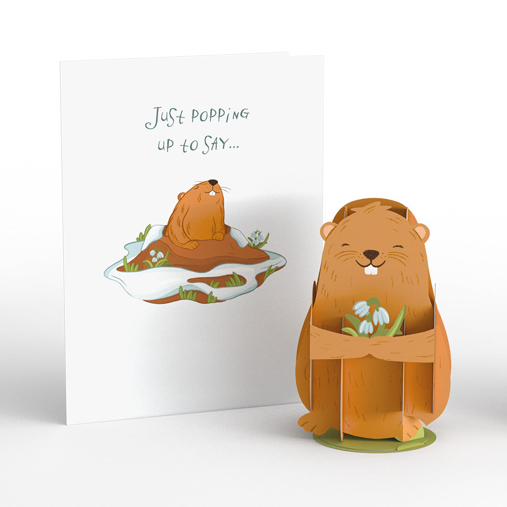 Happy Groundhog Day Card with Pop-Up Gift、mySite、solidvoid