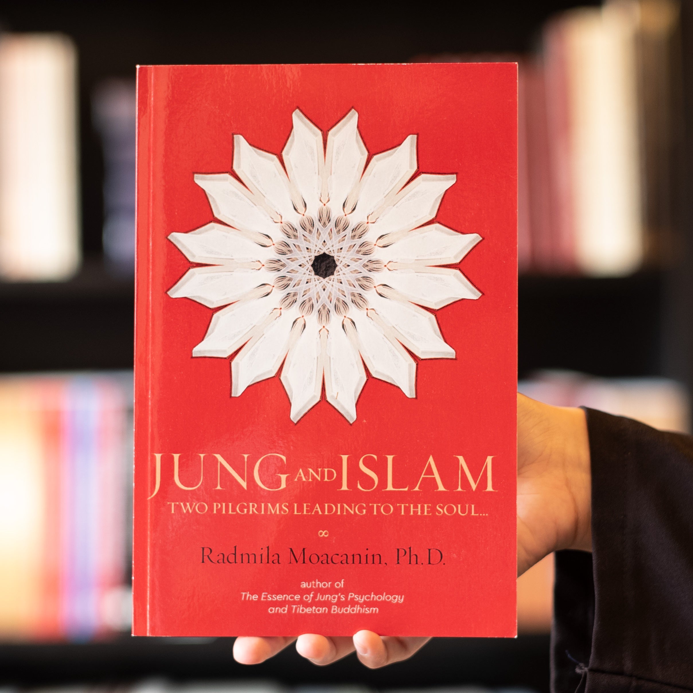 Jung and Islam: Two Pilgrims Leading to the Soul、mySite、topwebapps