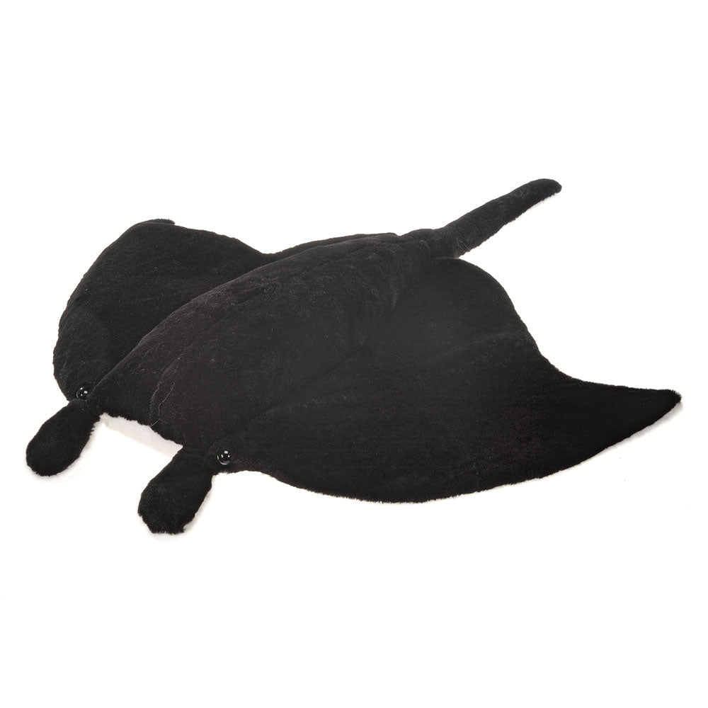 30 Manta Ray、mySite、g9winljtr