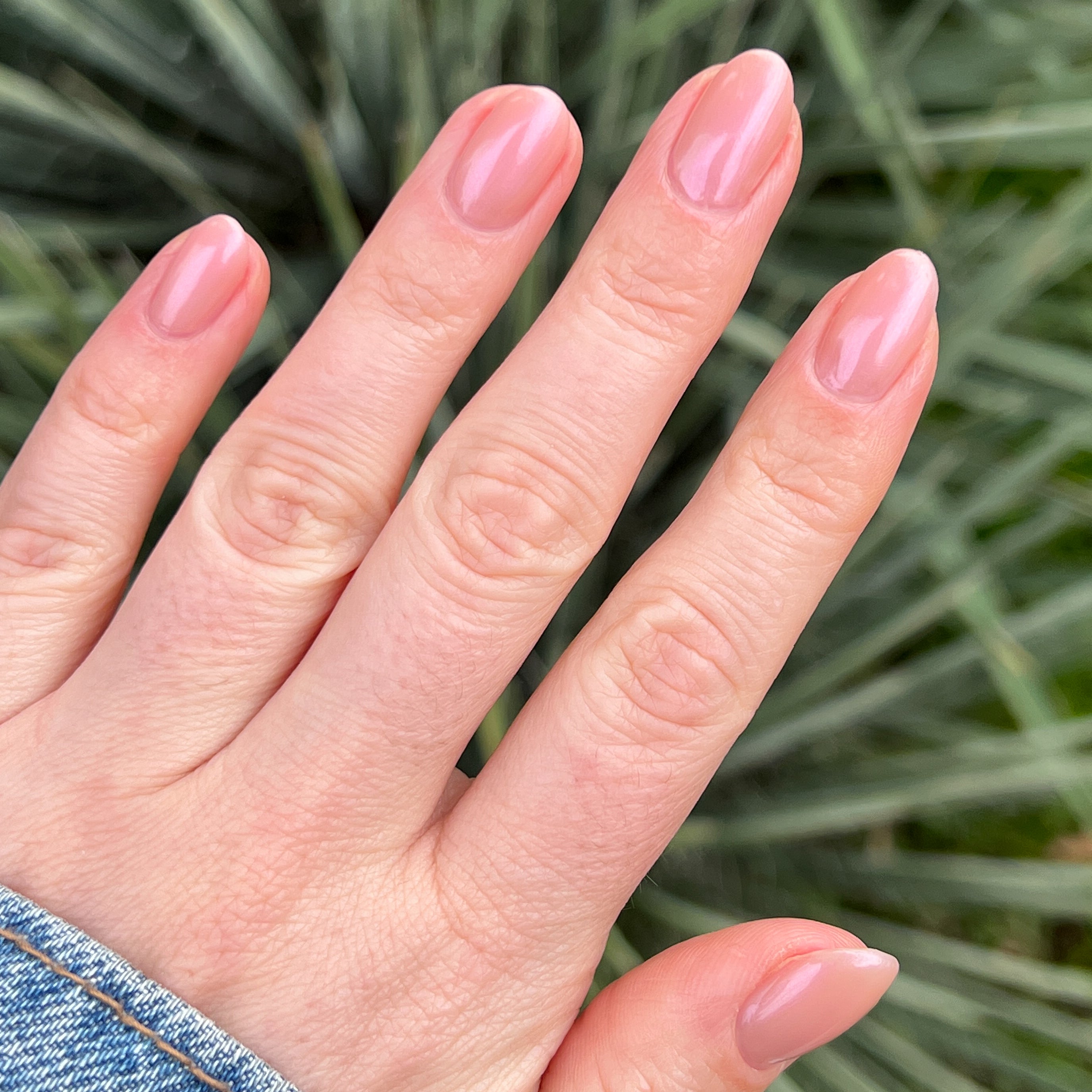 Sandy Scallop、mySite、solidvoid