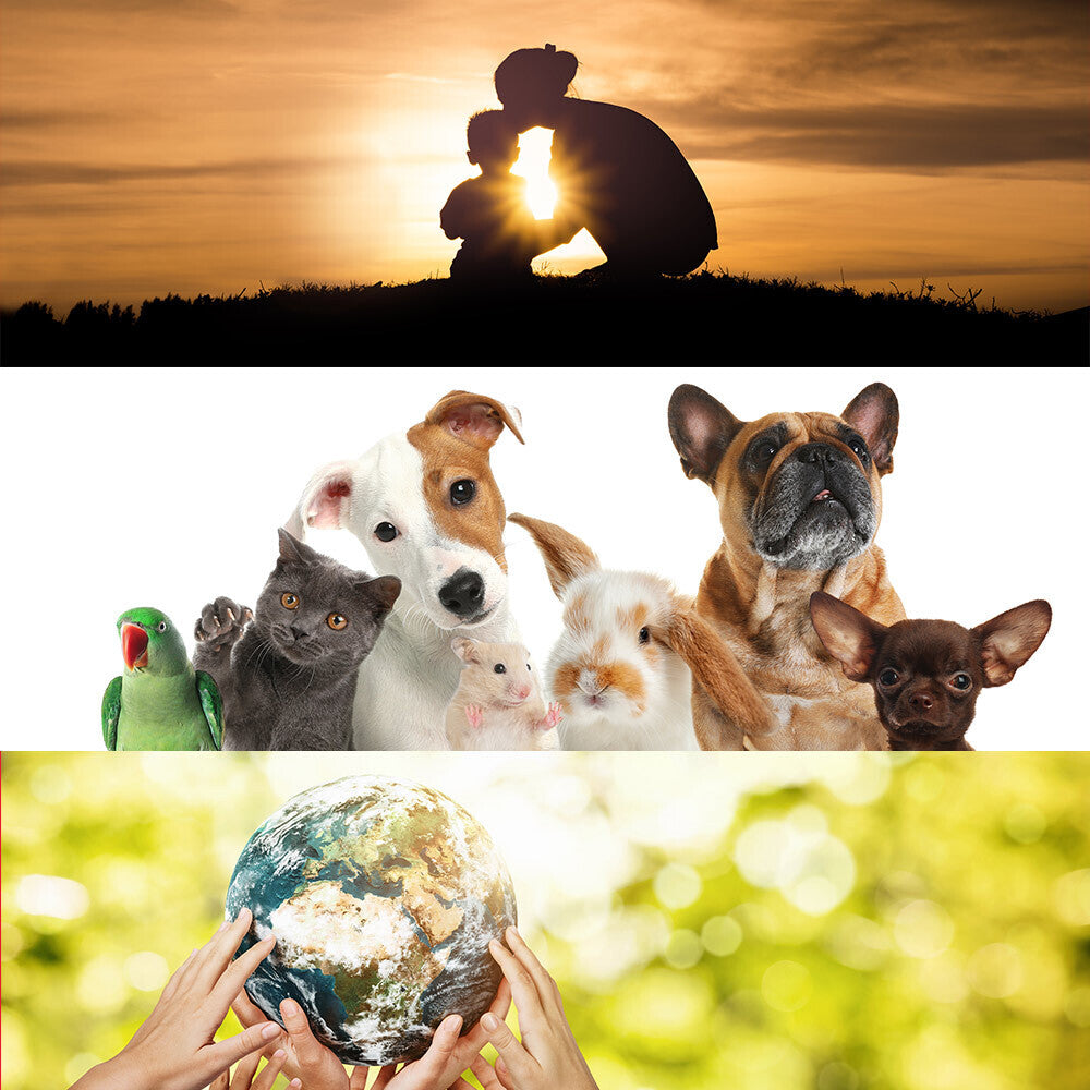 Support GreaterGood's Take Action! Petition Program: Your Signature, A Force for Change、mySite、camillekostekn