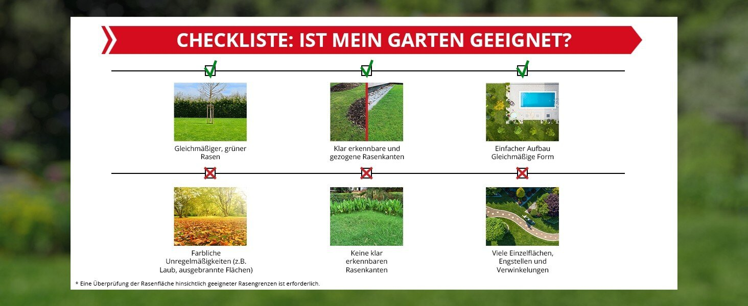Pasted Image