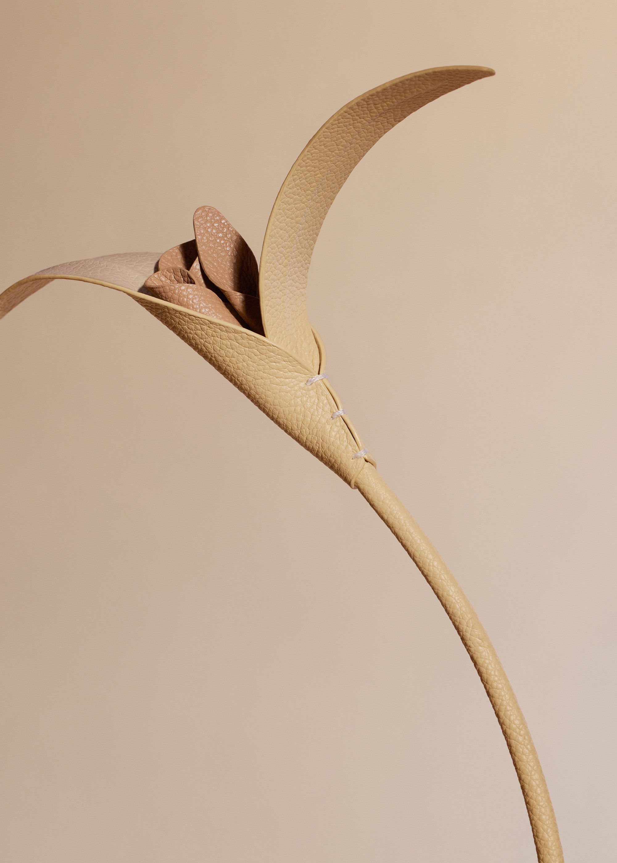 Fleur Touka - Trio Bl茅 Grain茅、mySite、camillekostekn